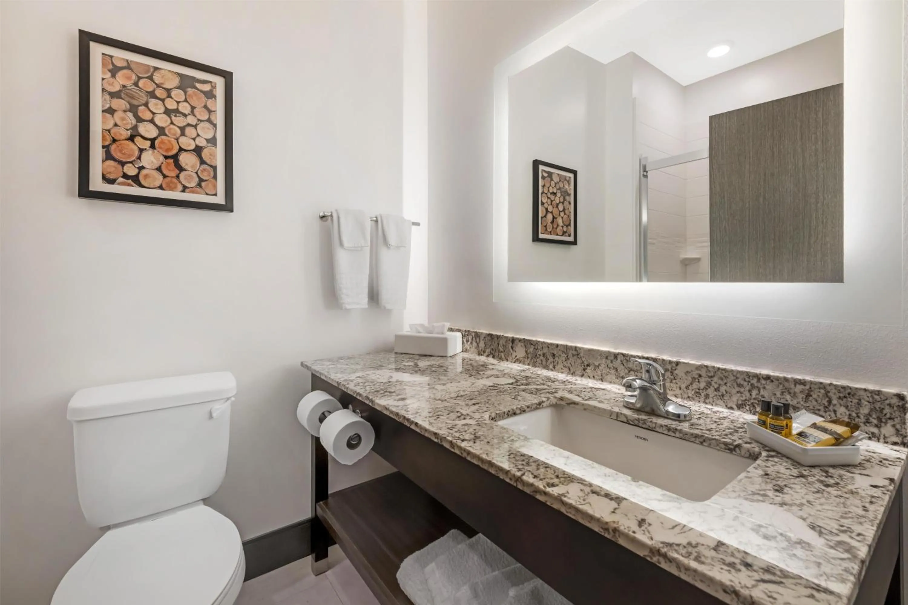 Bathroom in Best Western Plus Isanti