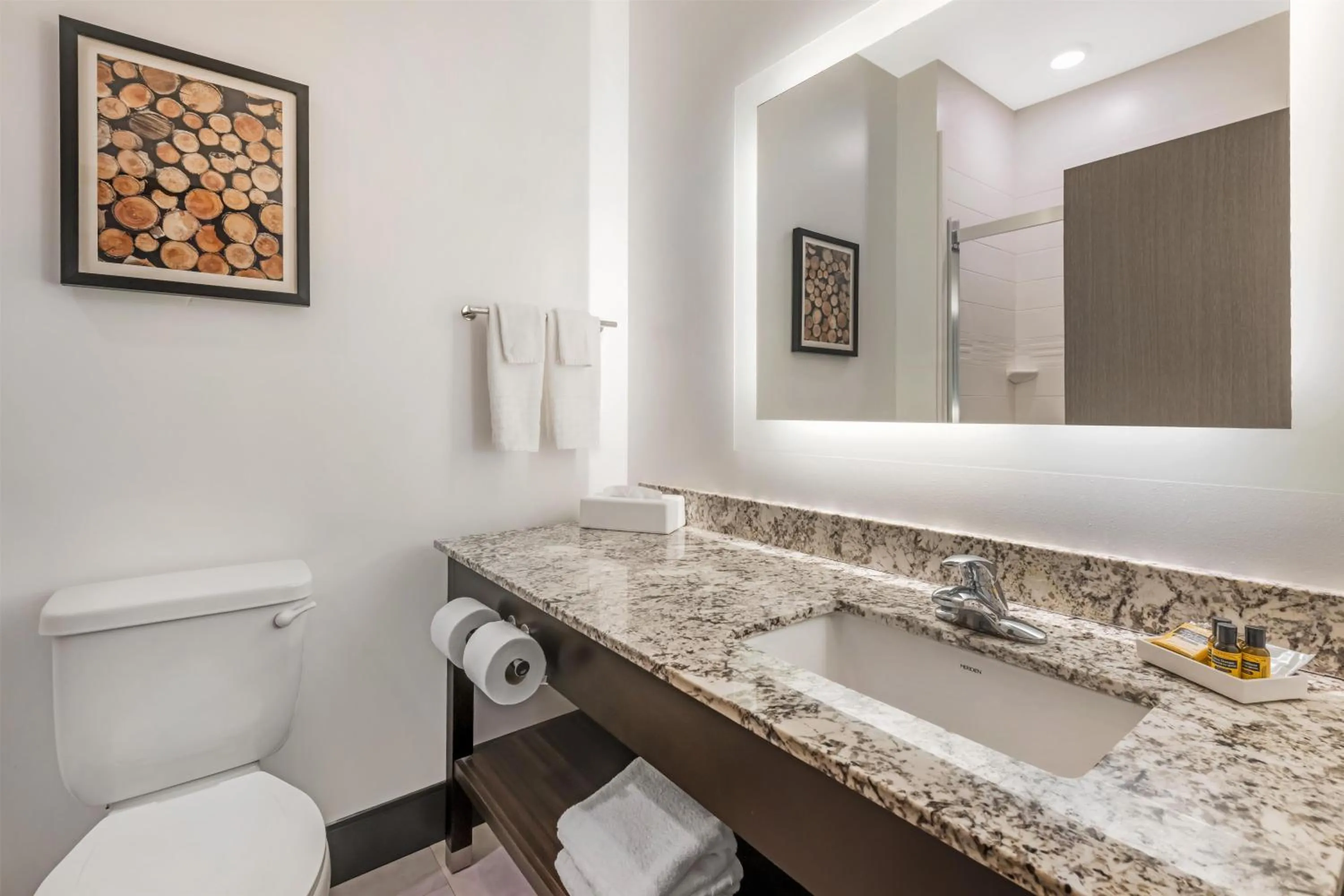 Bathroom in Best Western Plus Isanti