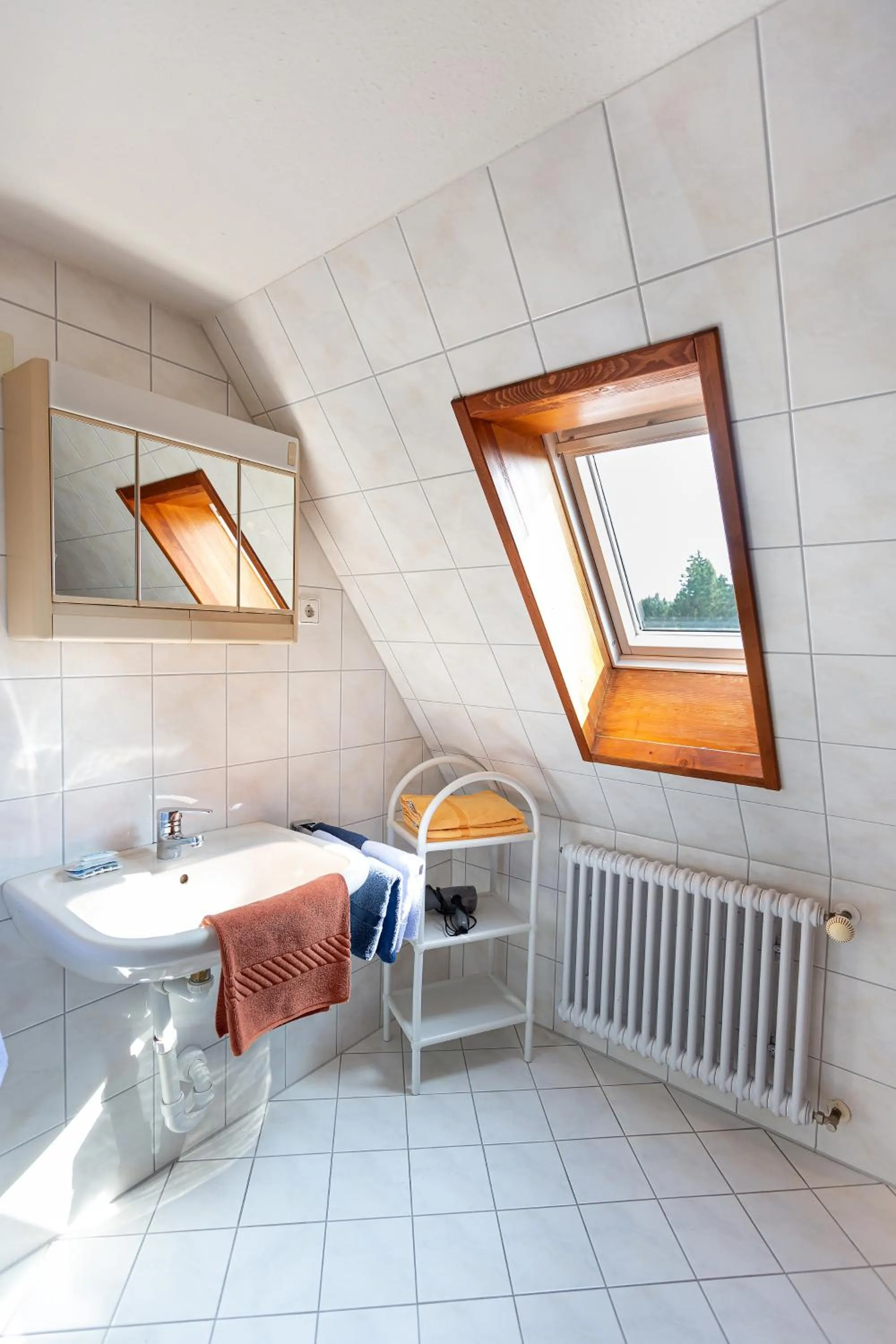 Bathroom in Hotel Silberdistel