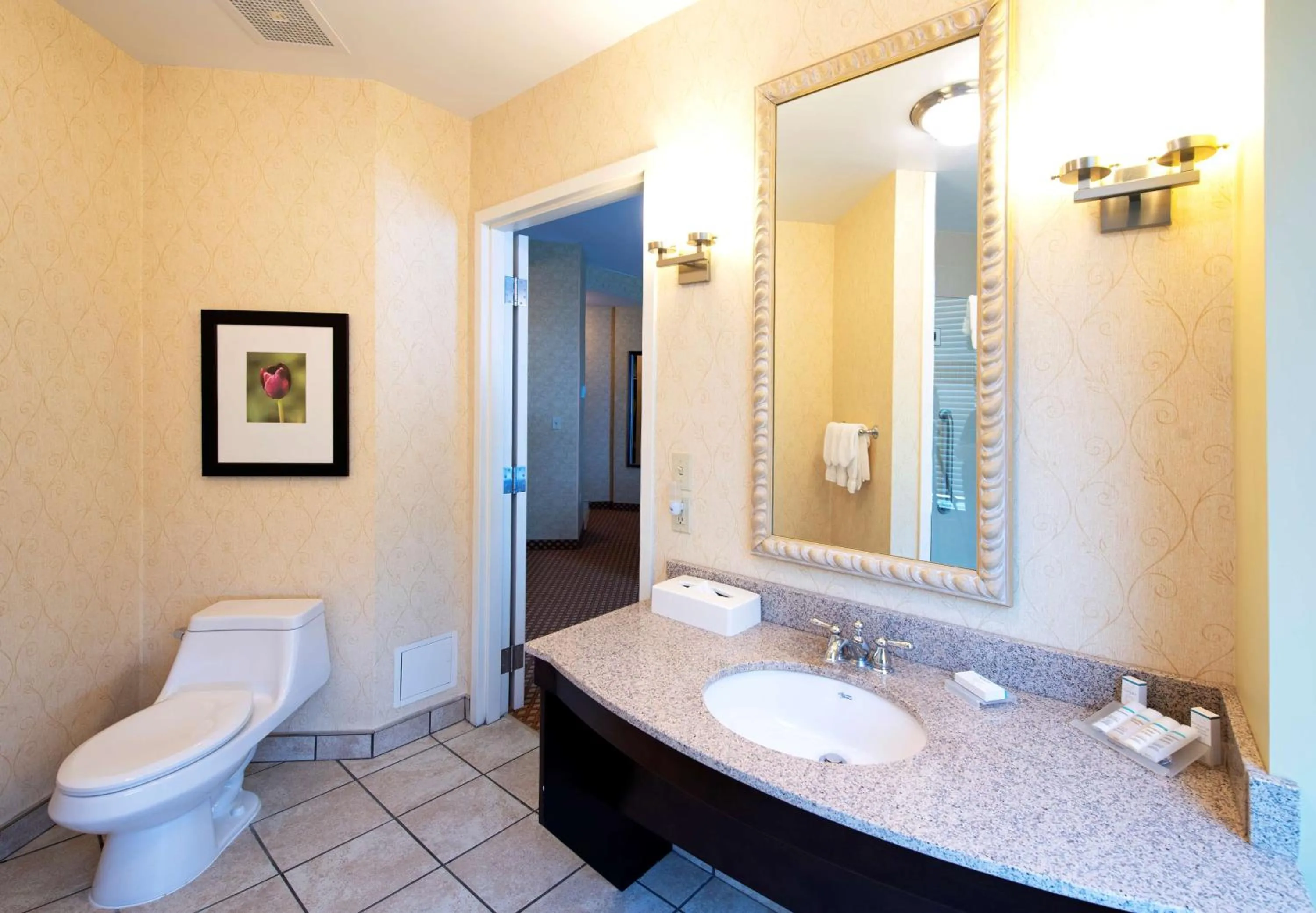 Bathroom in Hilton Garden Inn Ottawa Airport