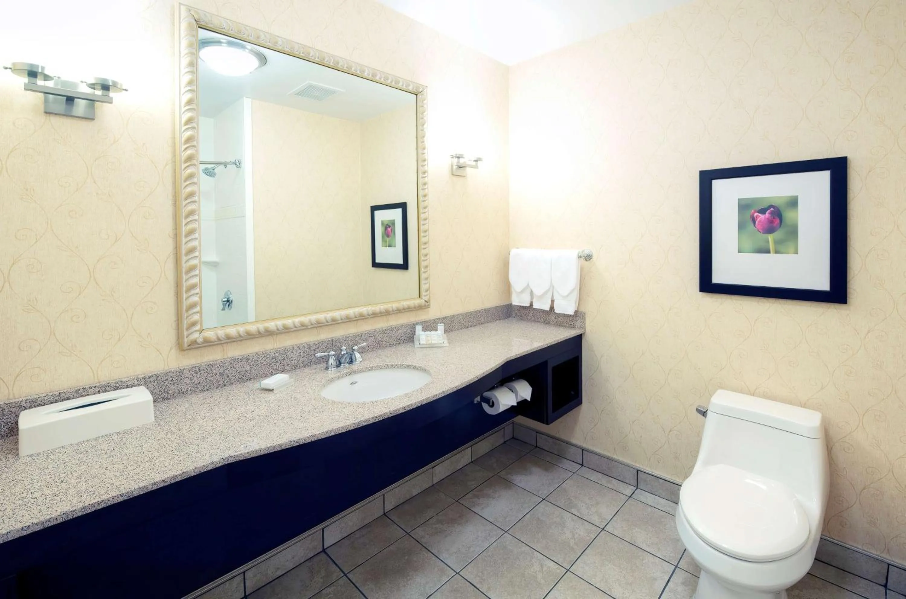 Bathroom in Hilton Garden Inn Ottawa Airport