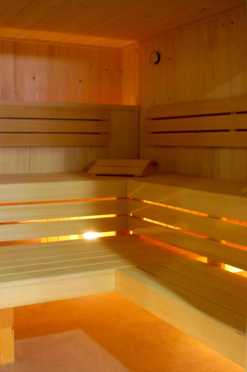Sauna in Apartahotel & Spa Jacetania