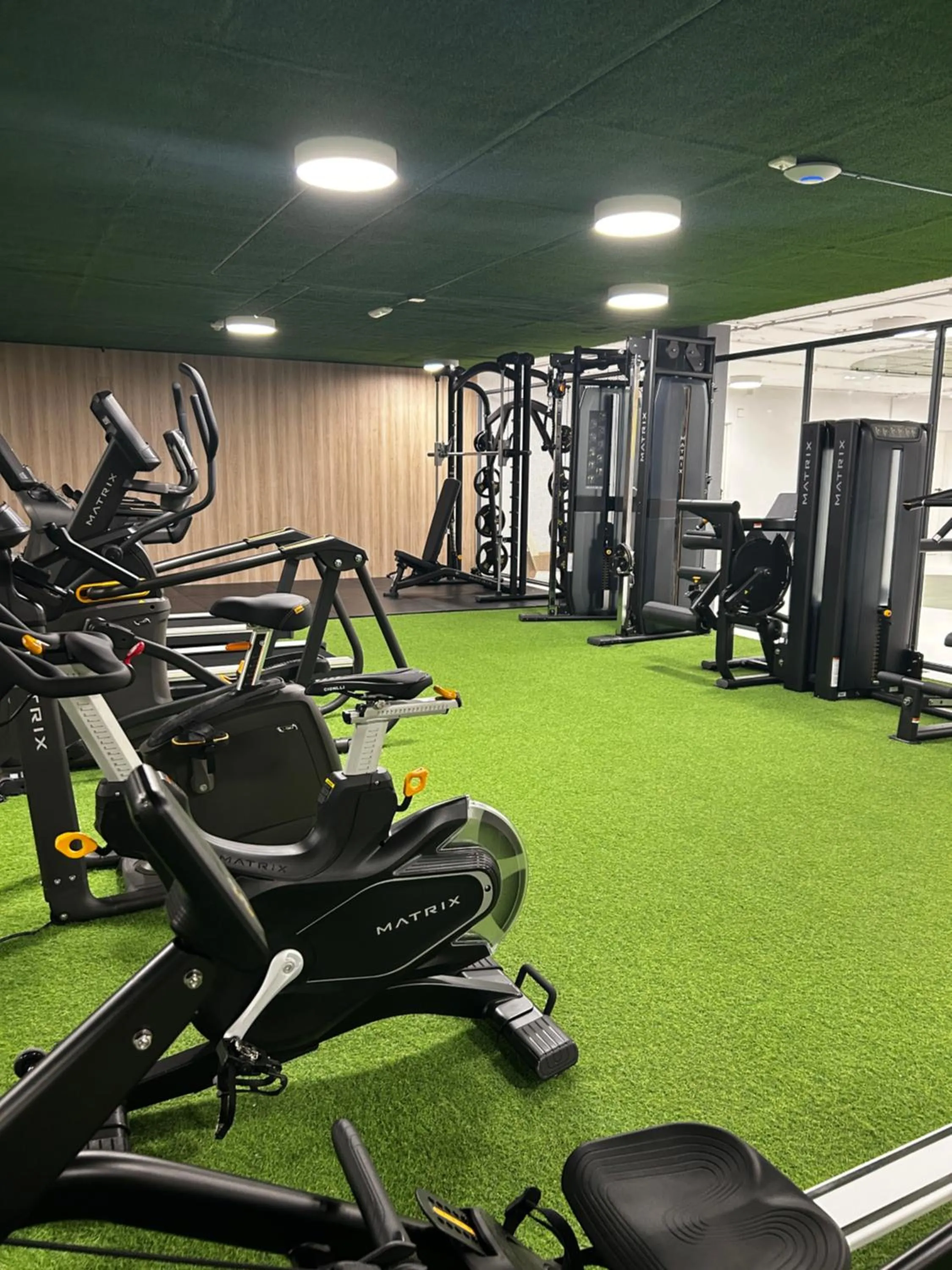 Fitness centre/facilities in Apartahotel & Spa Jacetania