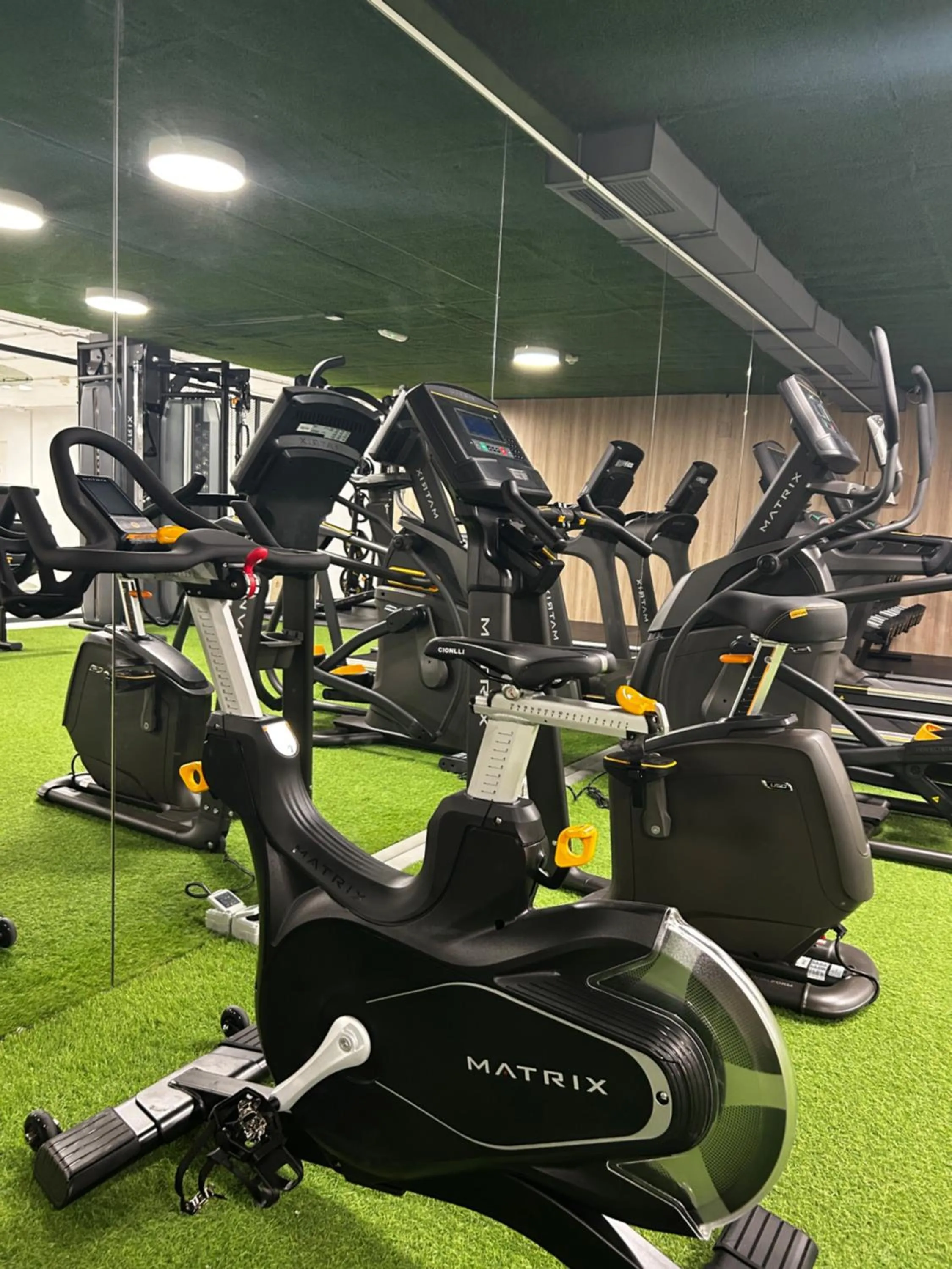Fitness centre/facilities in Apartahotel & Spa Jacetania