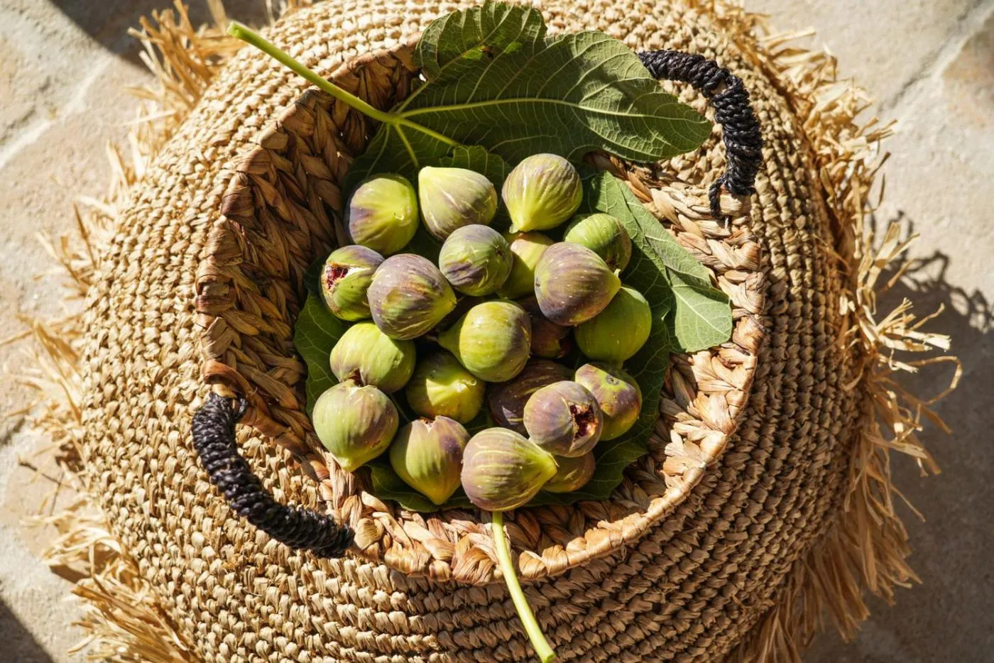 Natural landscape in Rooster Guesthouse Rooms