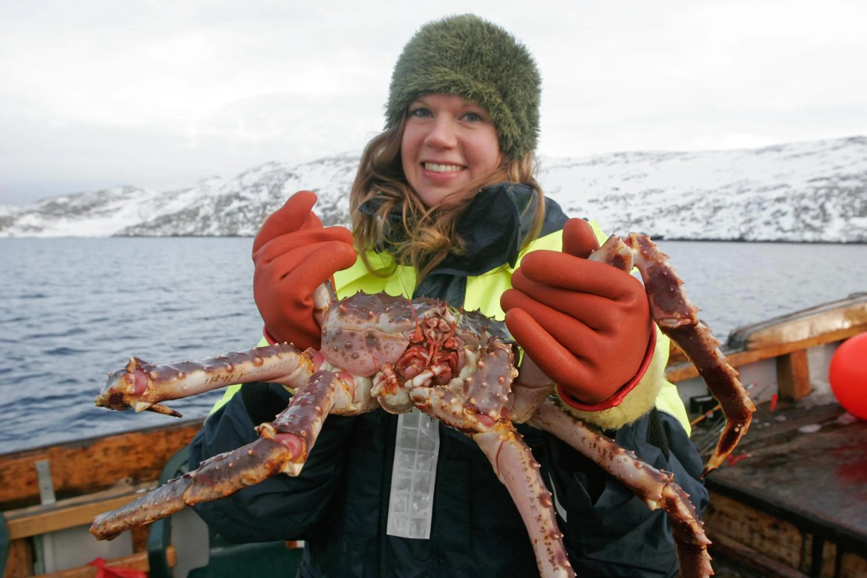 Day in Mehamn Arctic Hotel