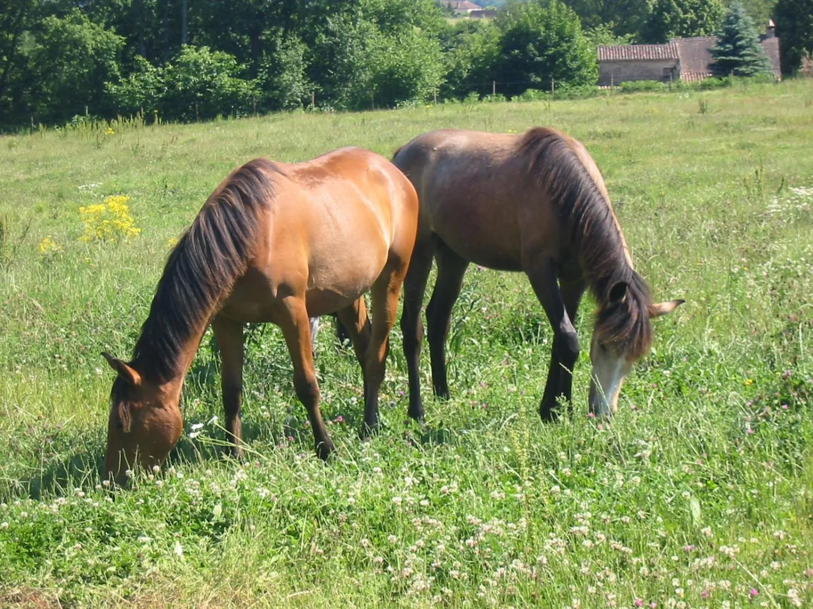 Garden view in La Rolandie Haute