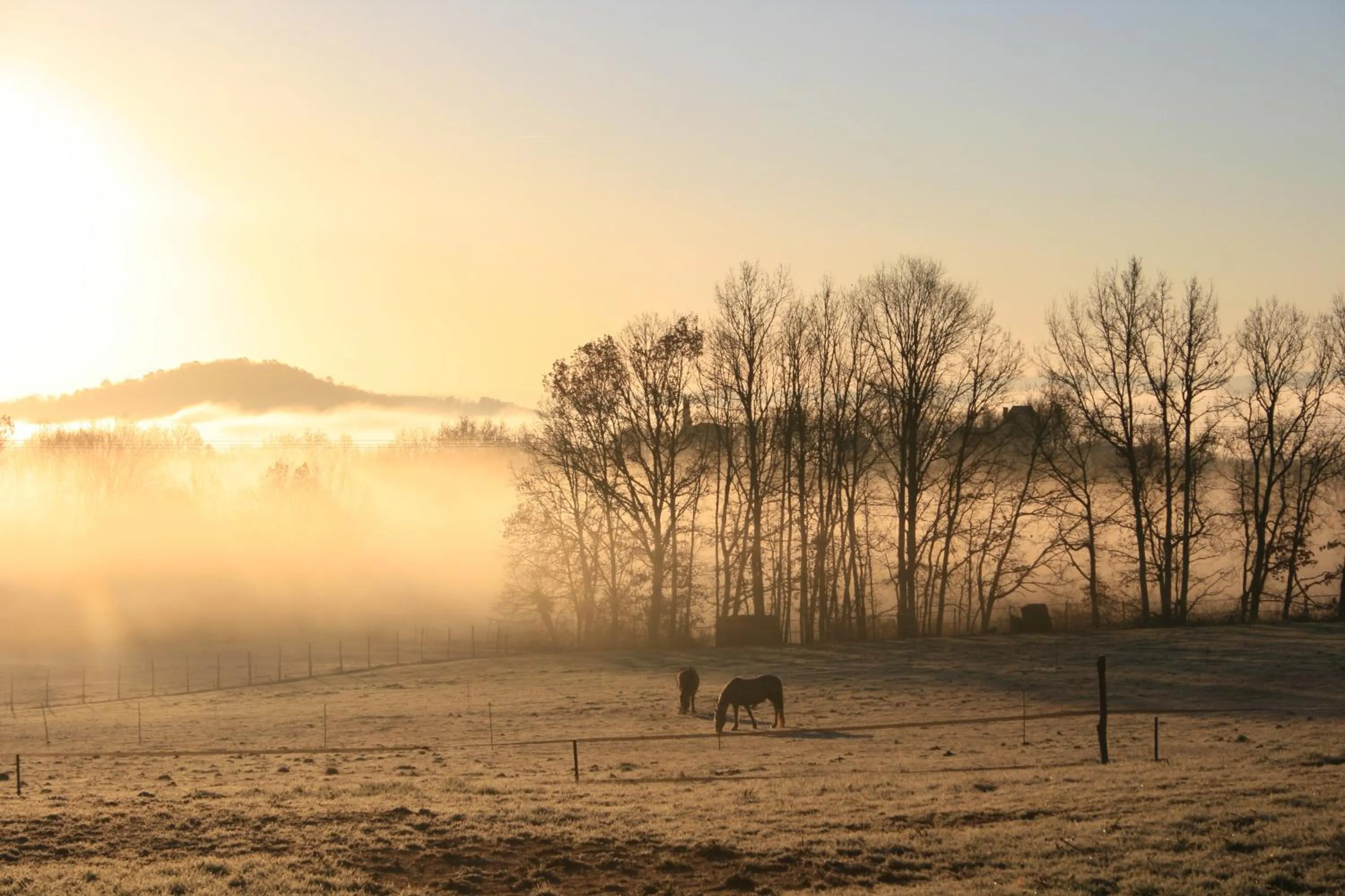 Garden view in La Rolandie Haute