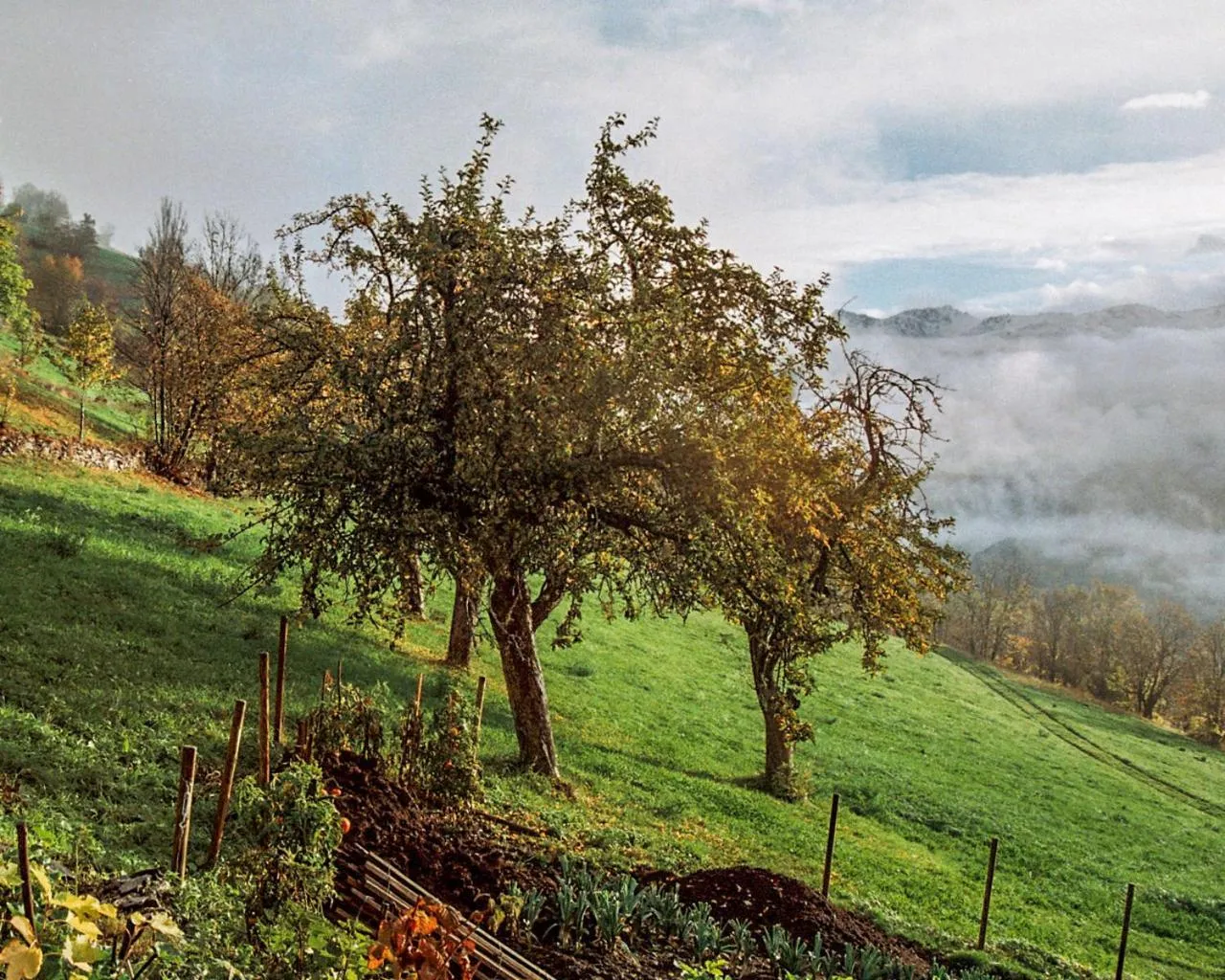 Spring in Hôtel du Soleil
