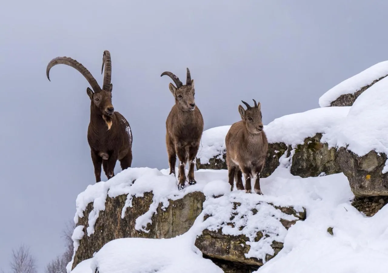 Natural landscape in Hôtel du Soleil