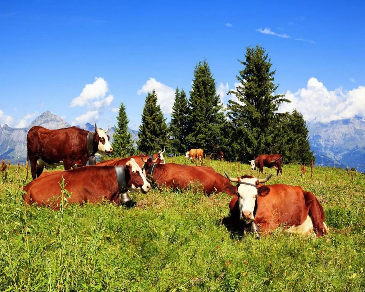 Spring in Hôtel du Soleil