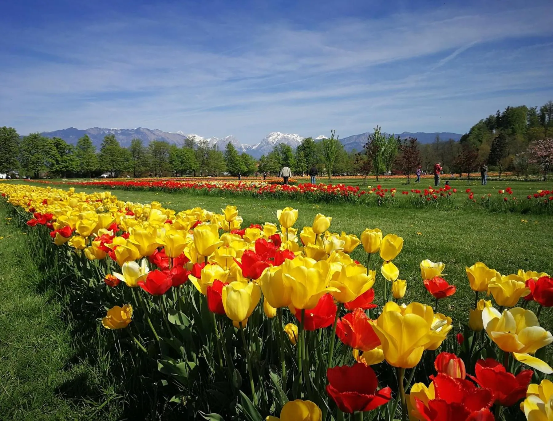 Spring in B&B Pod Skalo