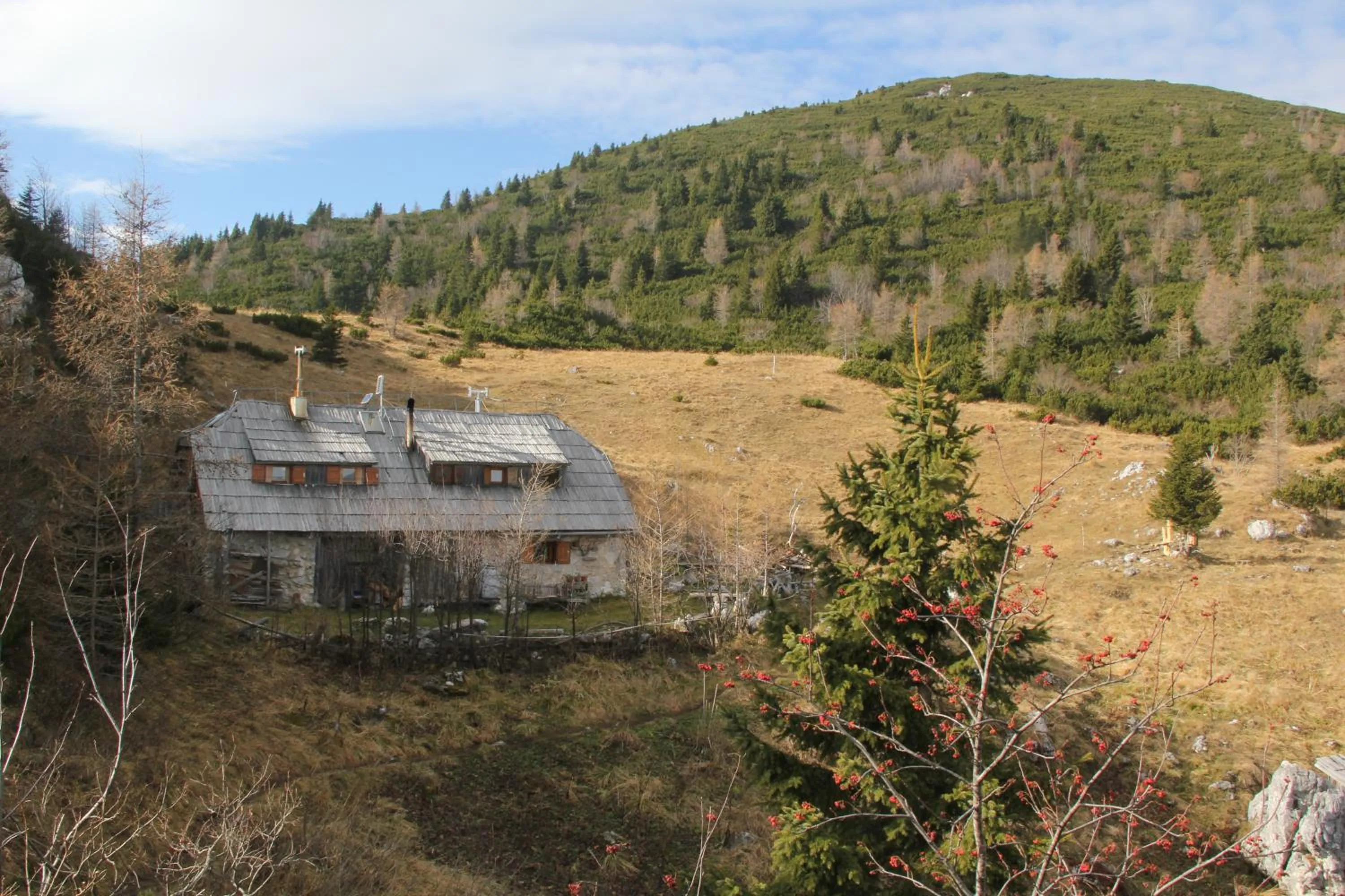 Natural landscape in B&B Pod Skalo