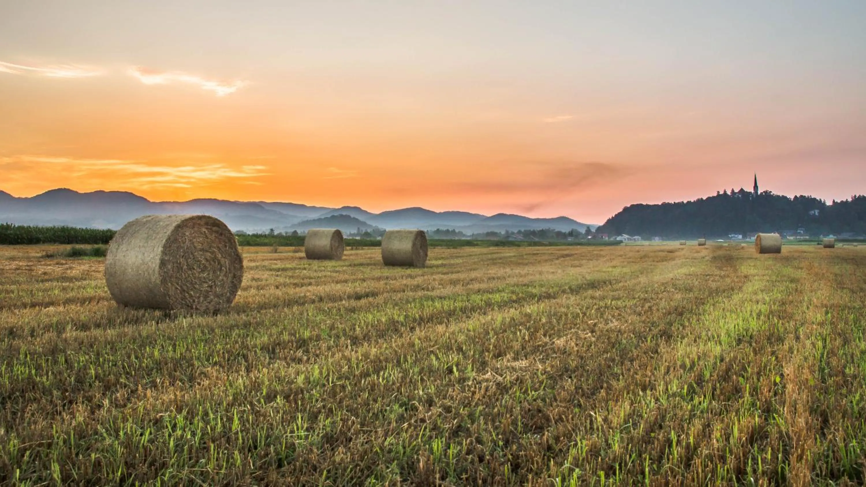Natural landscape in B&B Pod Skalo