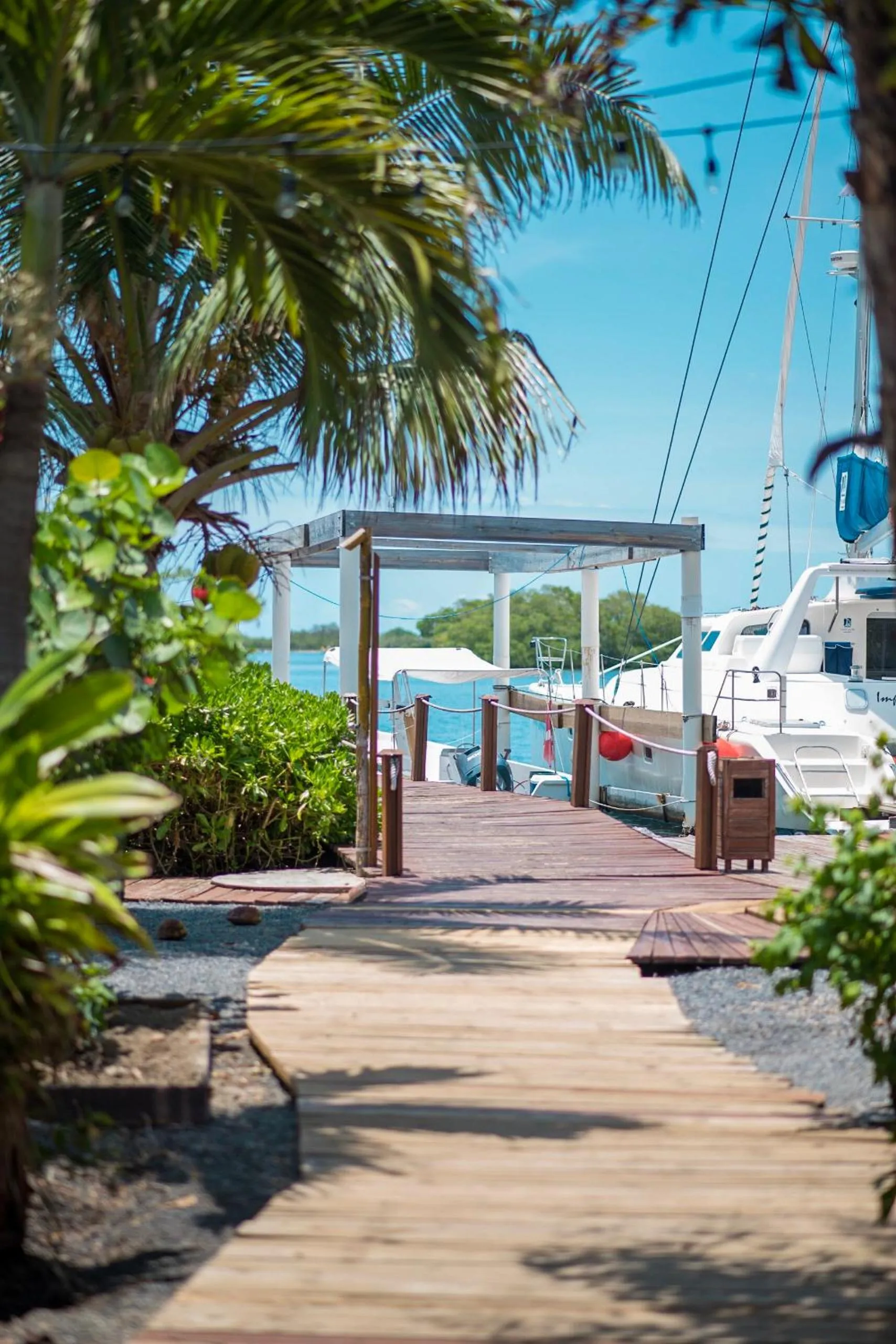 Wikkid Resort