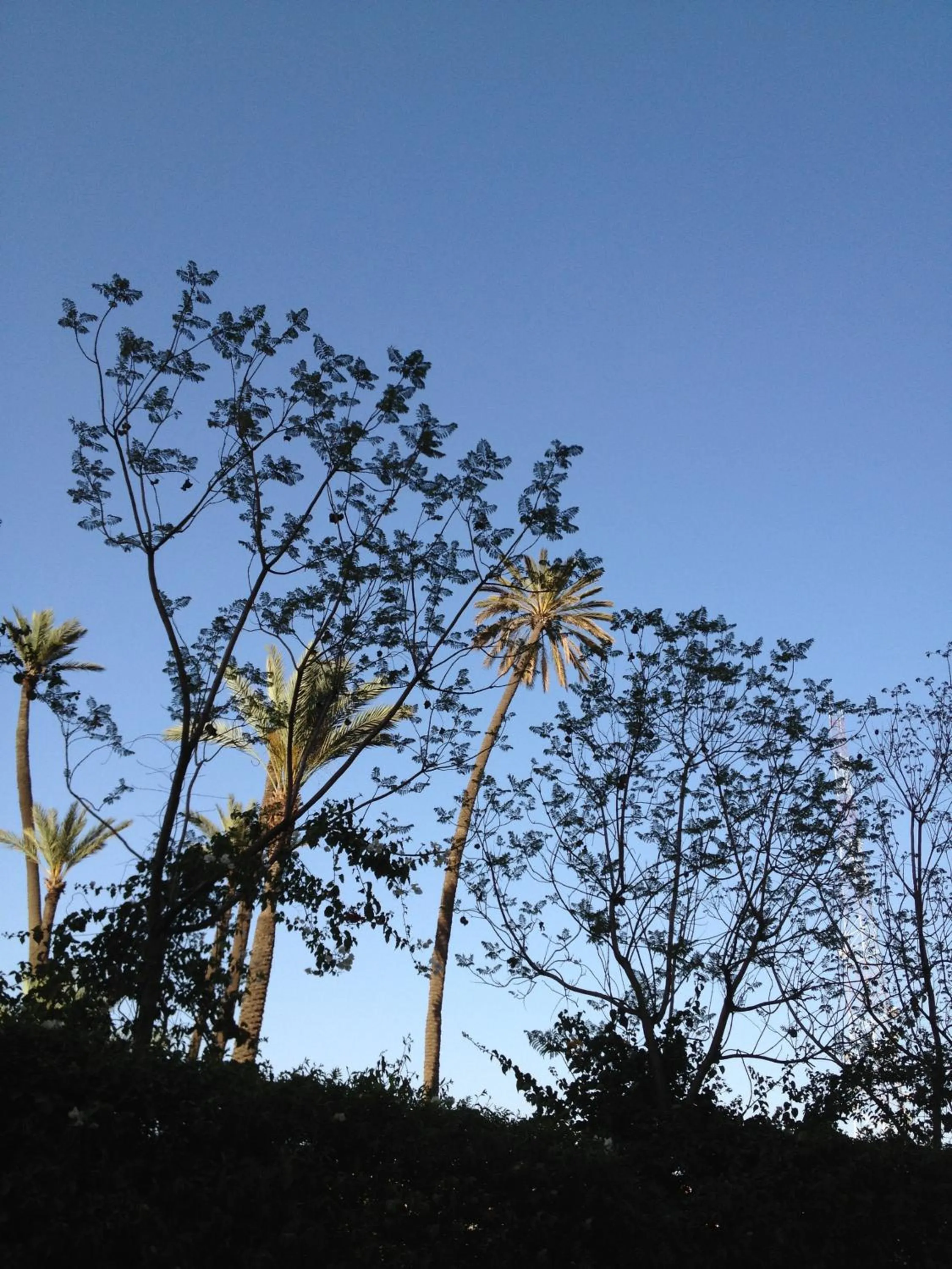 Garden view in Casa Taos