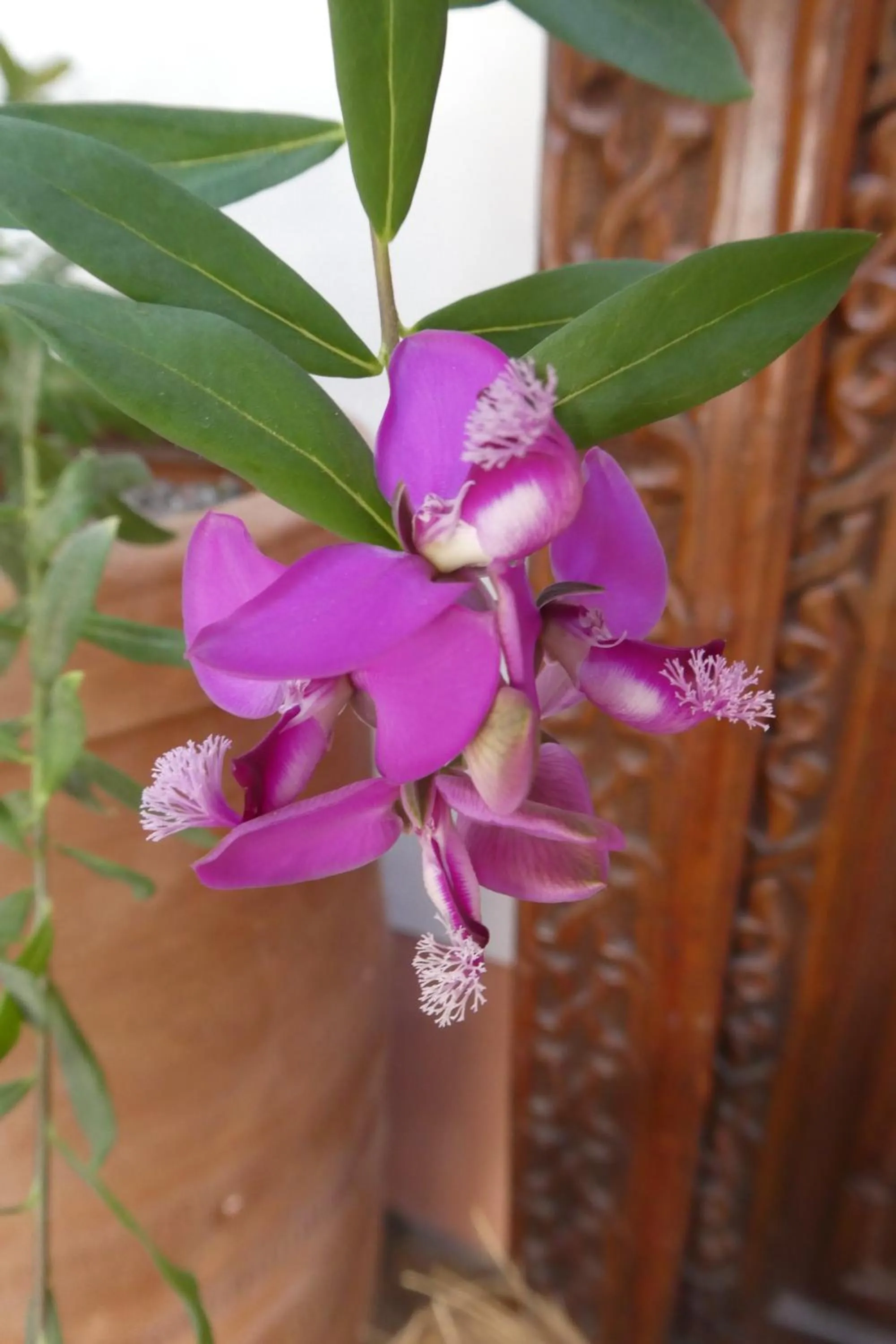 Decorative detail in Riad Smara