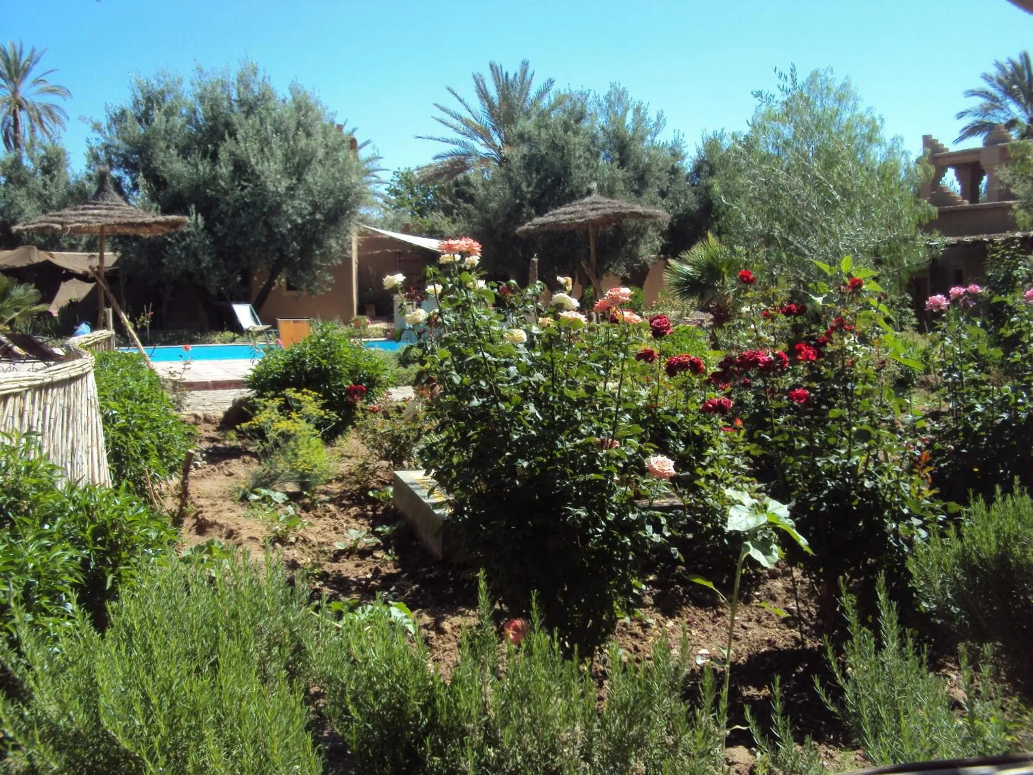 Garden in Dar Lorkam