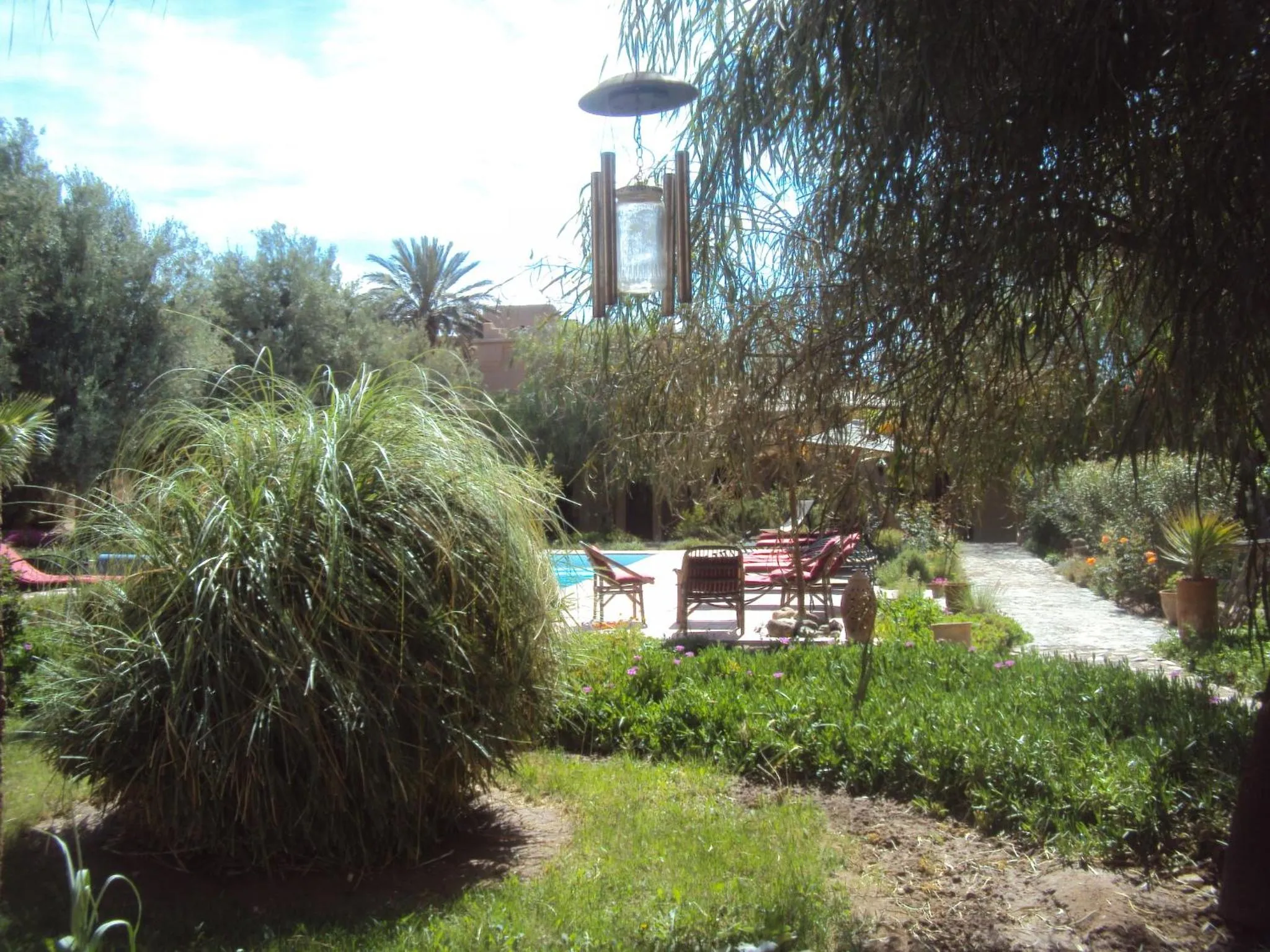 Garden in Dar Lorkam