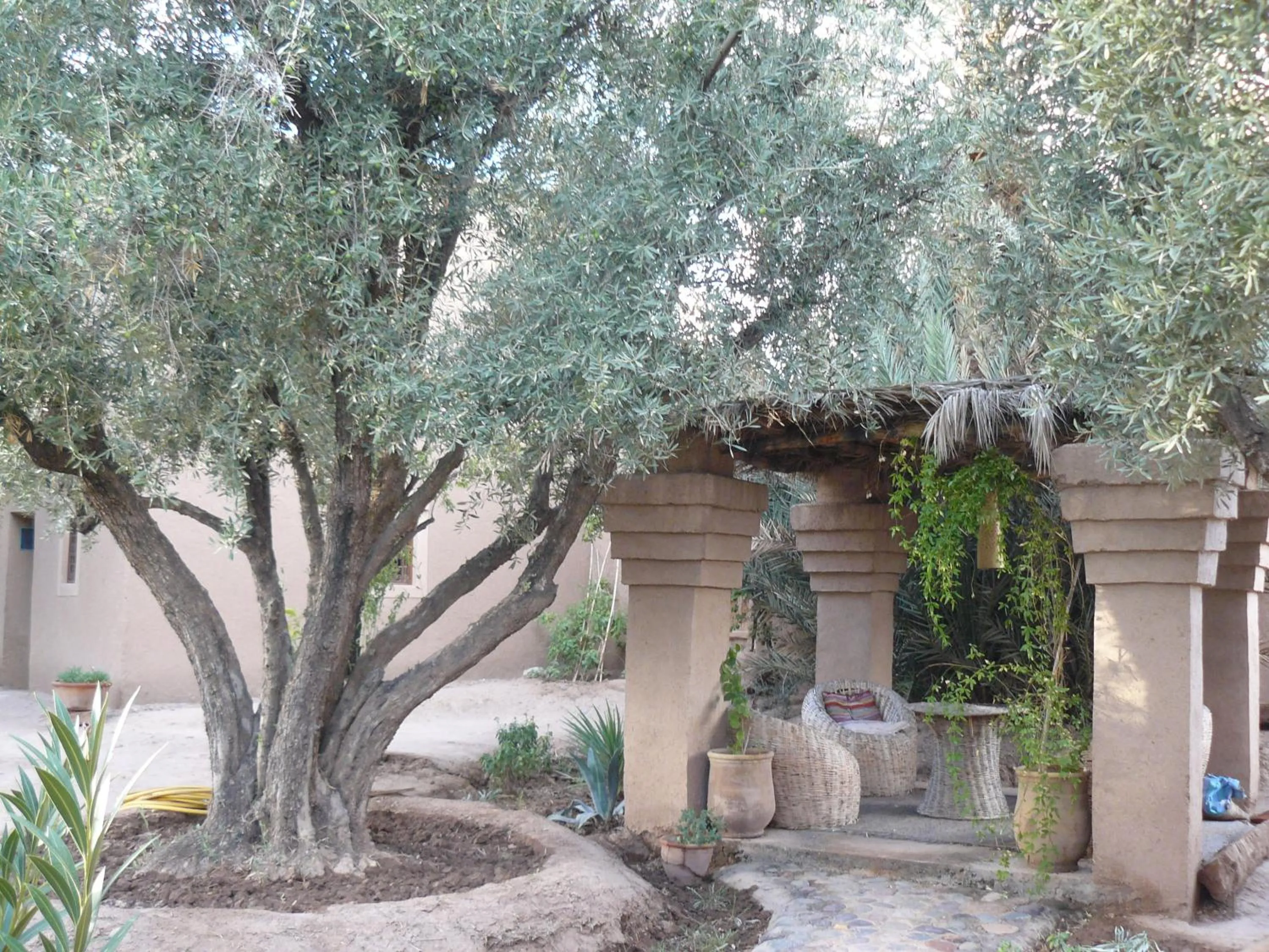 Patio in Dar Lorkam