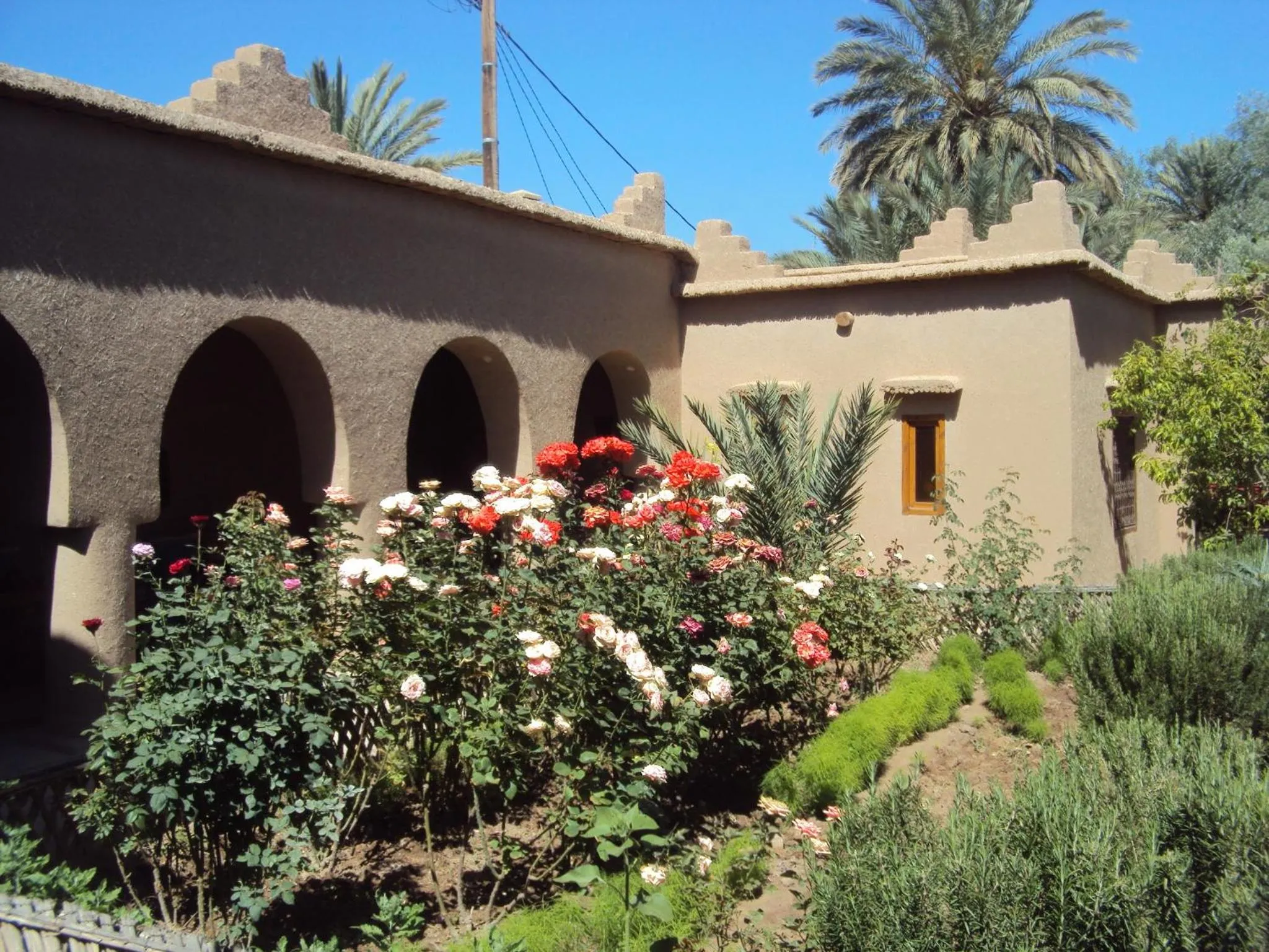 Garden in Dar Lorkam