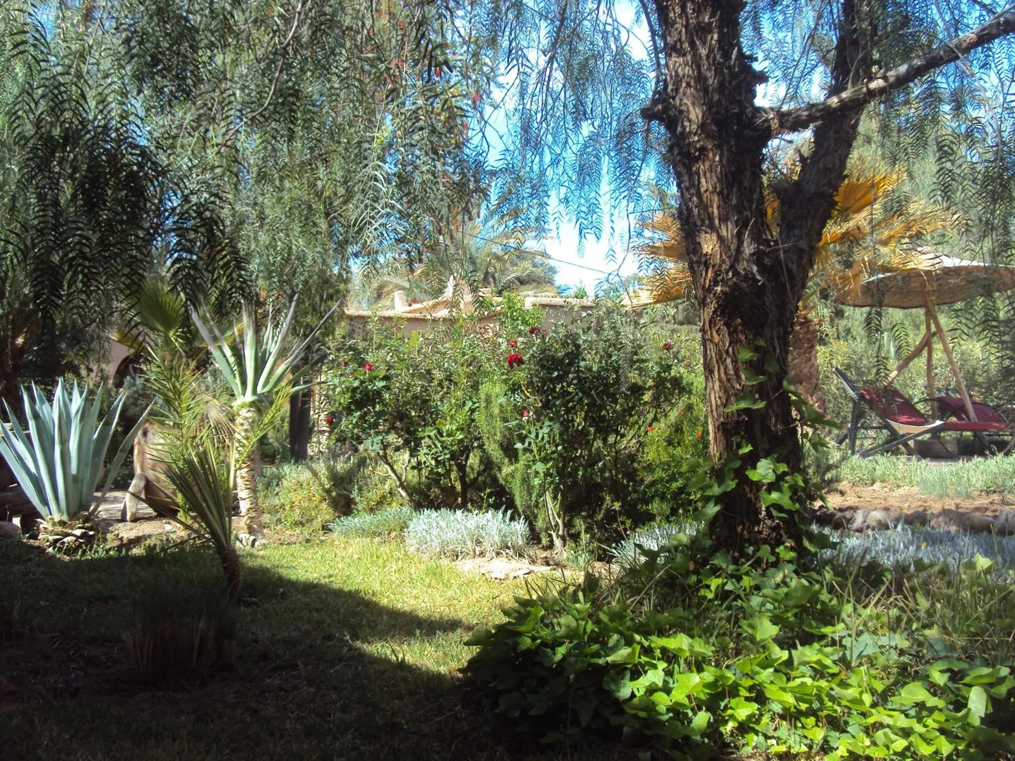 Garden in Dar Lorkam