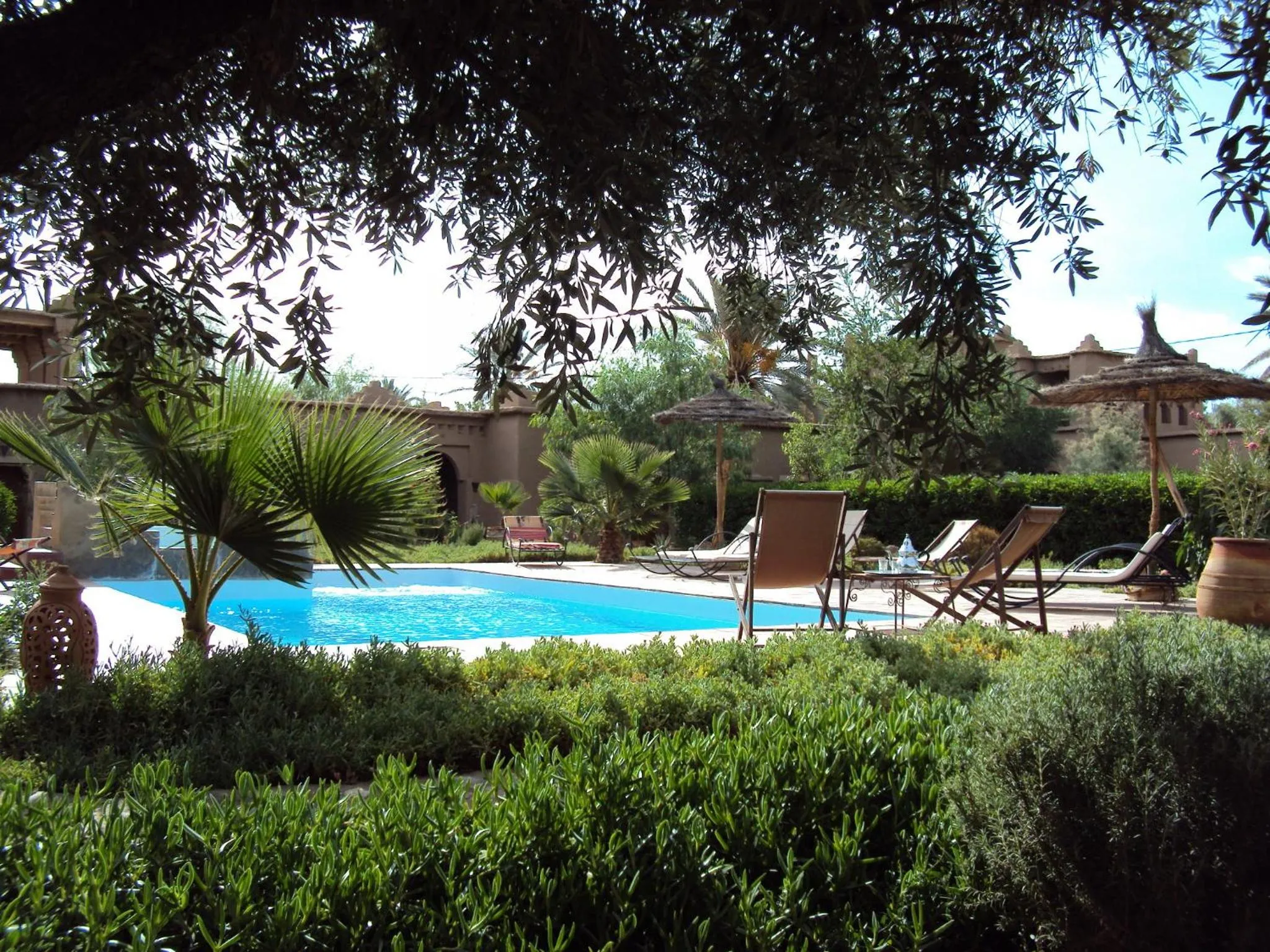 Garden in Dar Lorkam