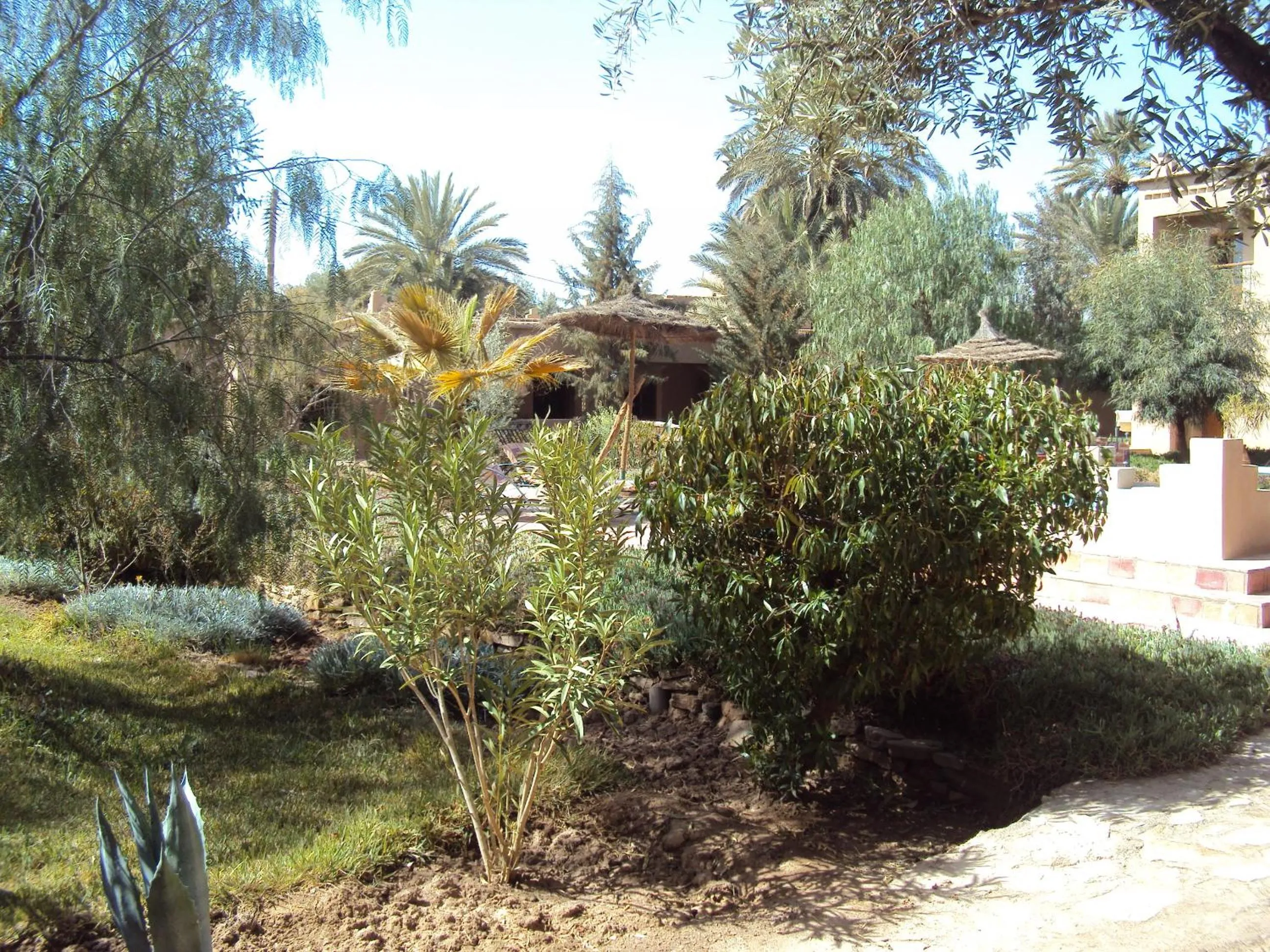 Garden in Dar Lorkam