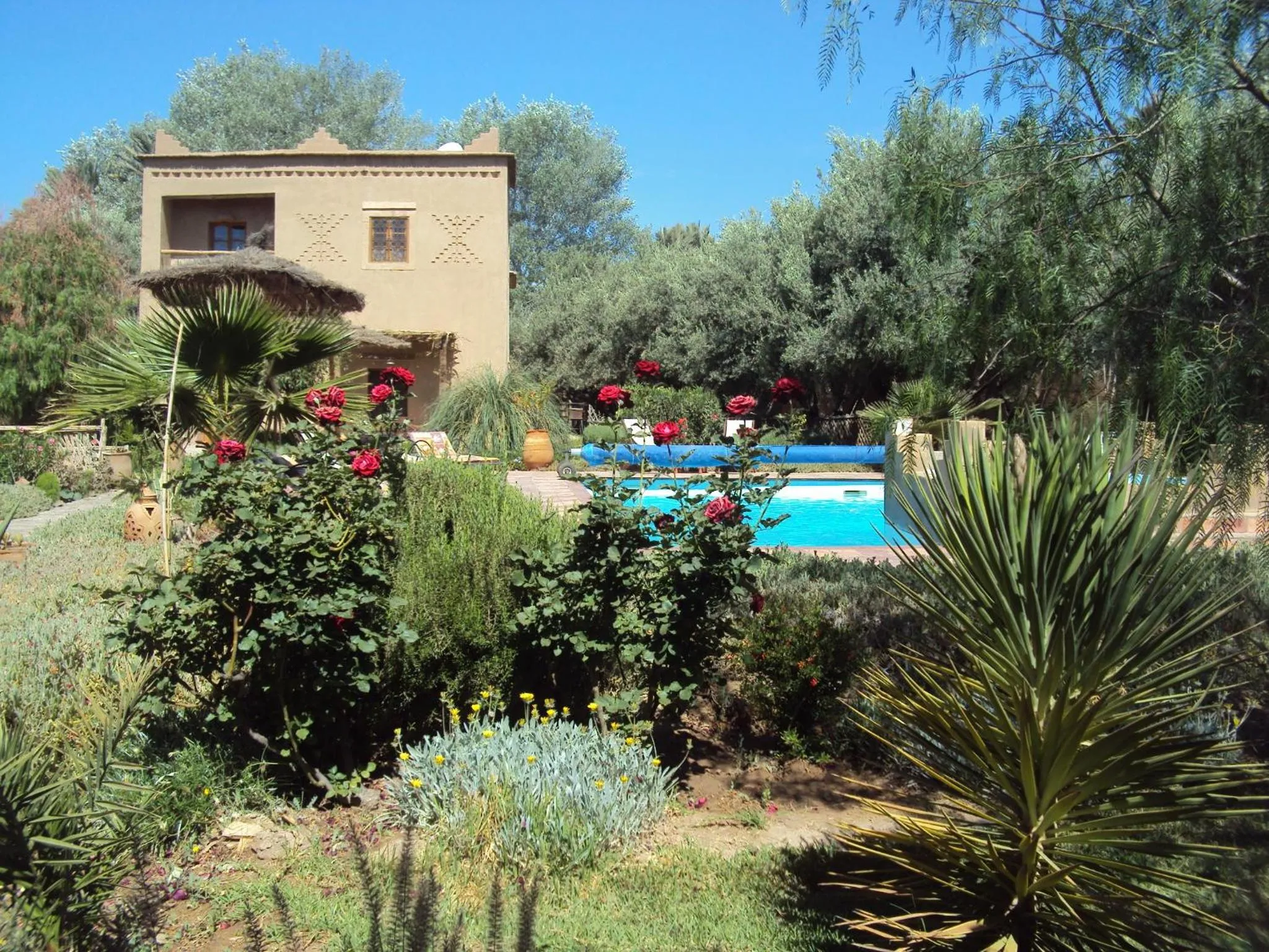 Garden in Dar Lorkam