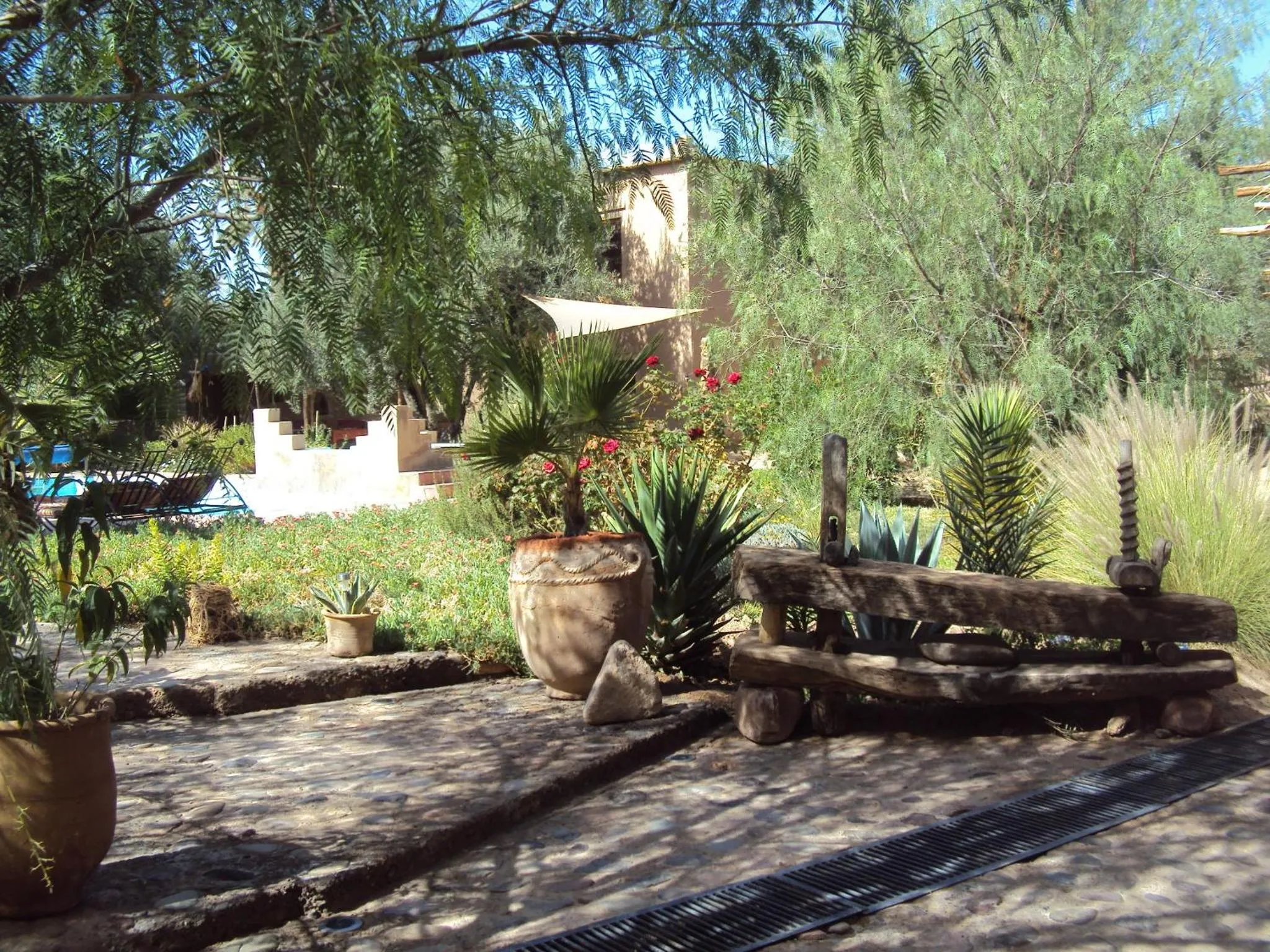 Garden in Dar Lorkam