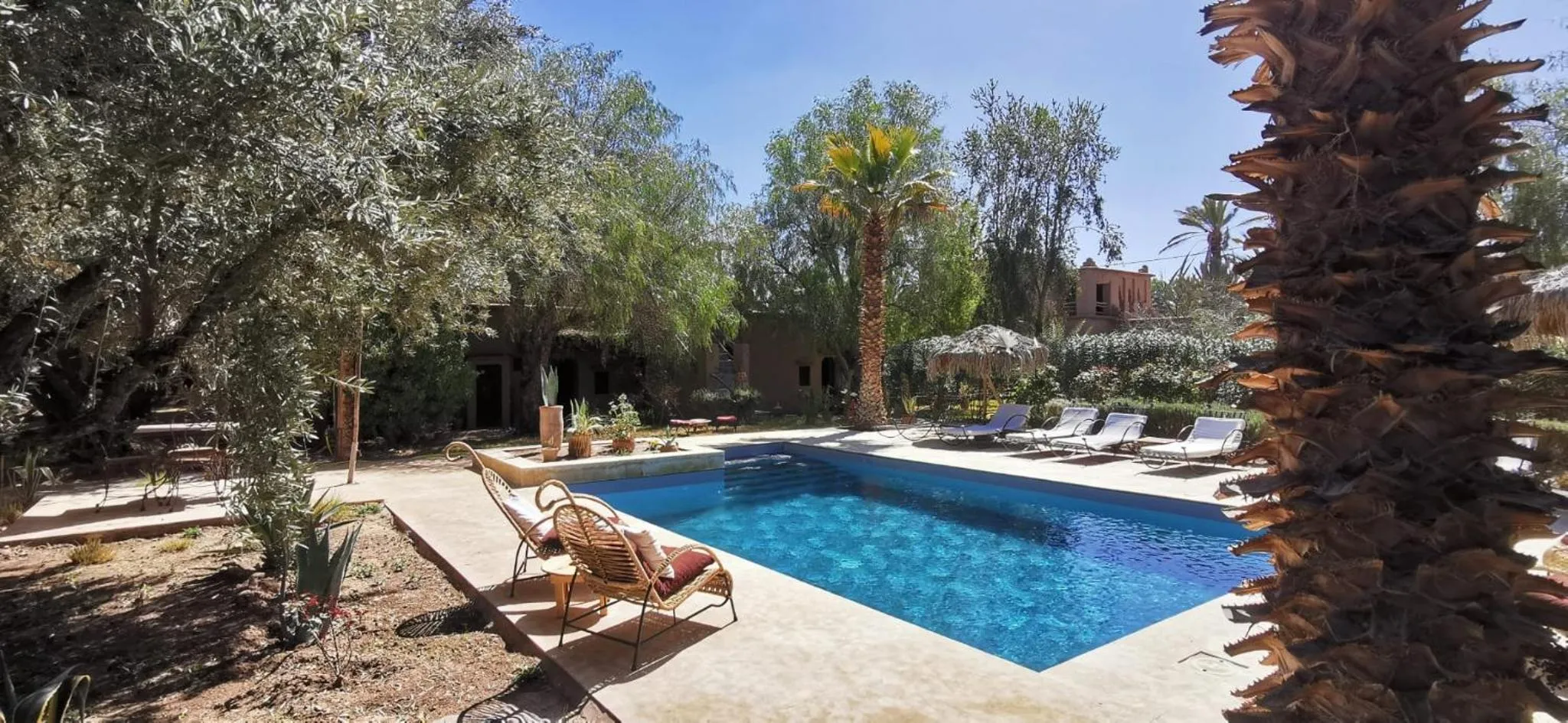 Swimming pool in Dar Lorkam