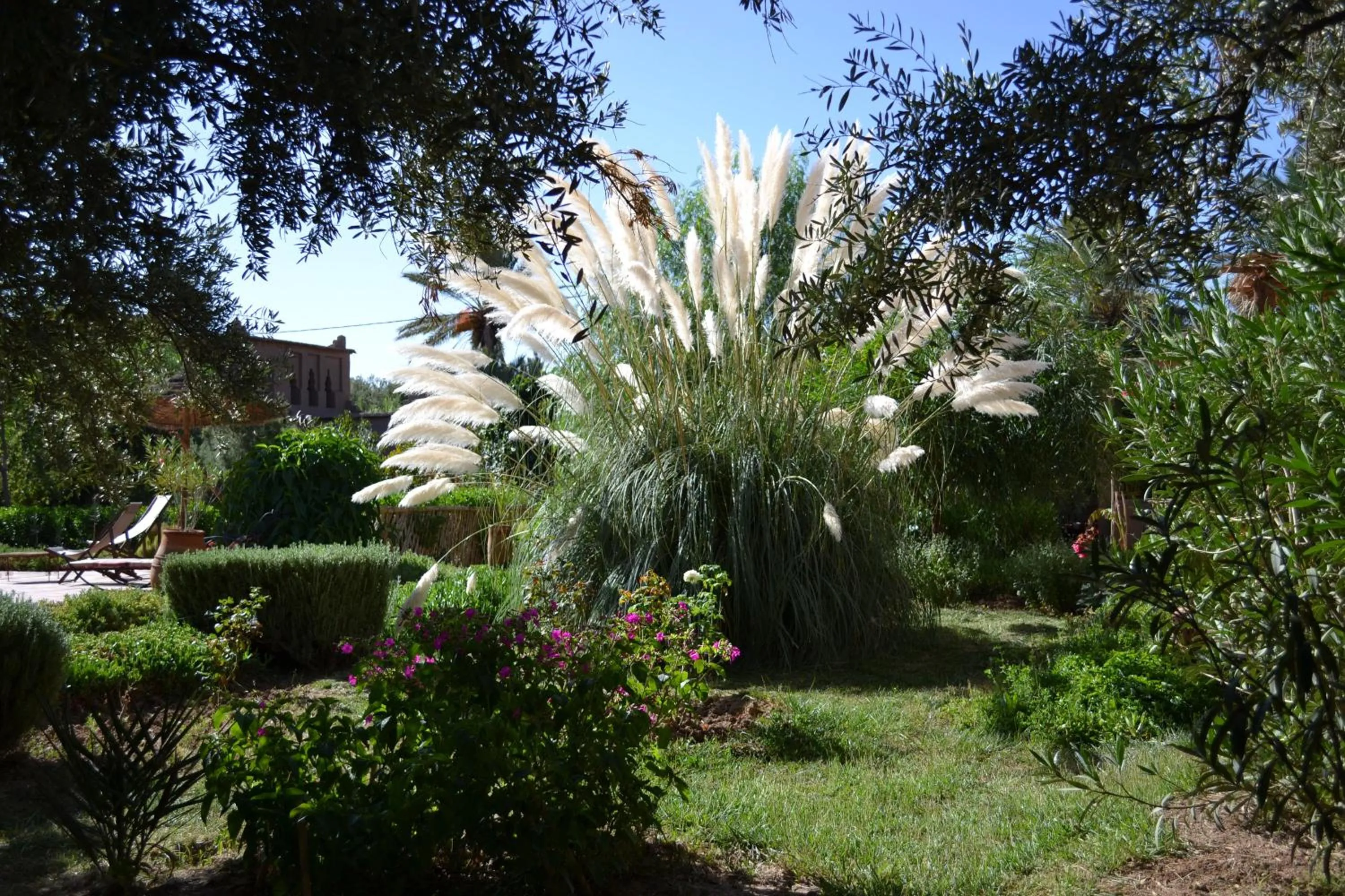 Garden in Dar Lorkam