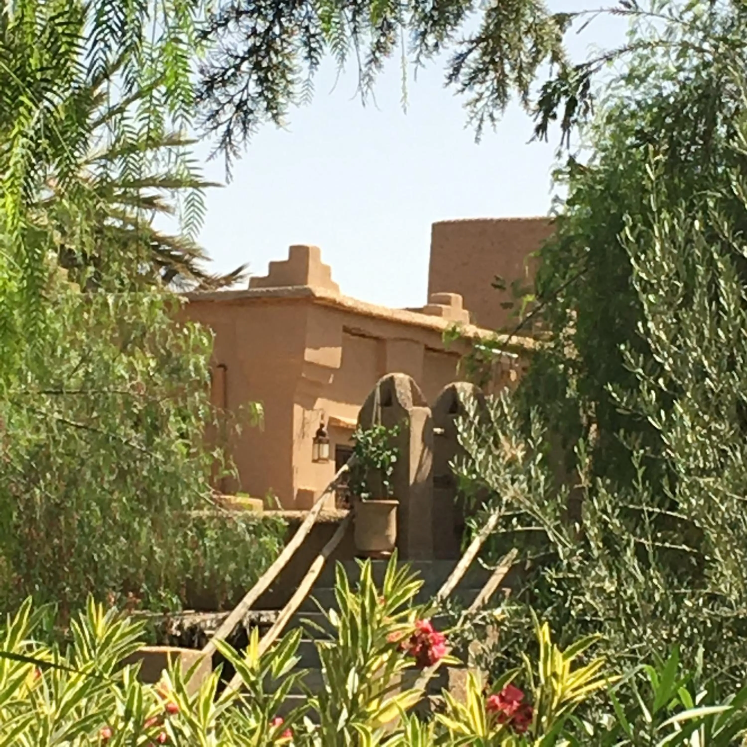 Garden in Dar Lorkam