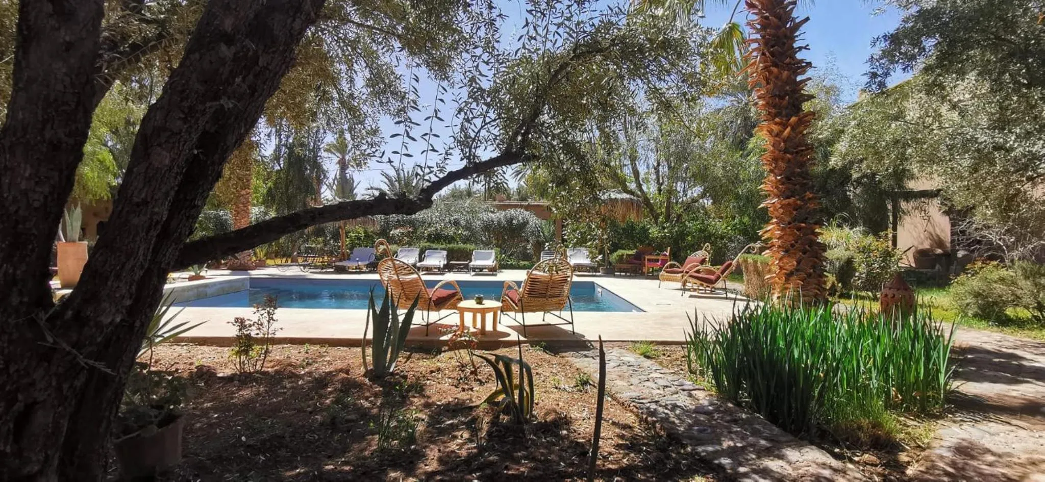 Swimming pool in Dar Lorkam