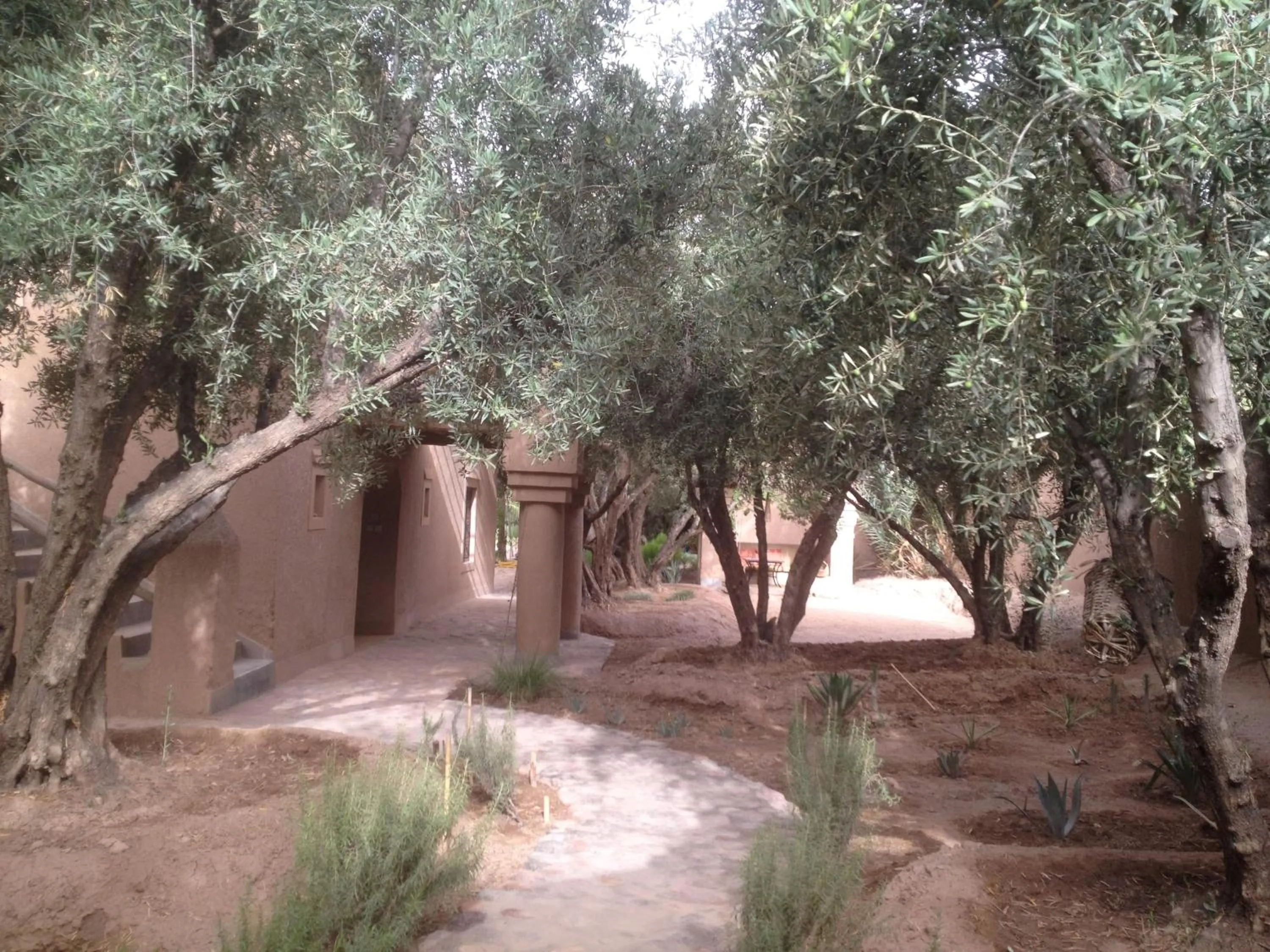 Garden in Dar Lorkam