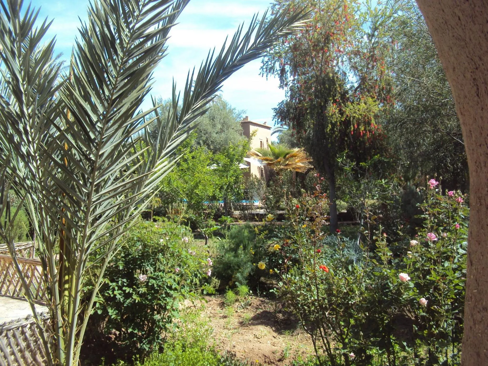 Garden in Dar Lorkam