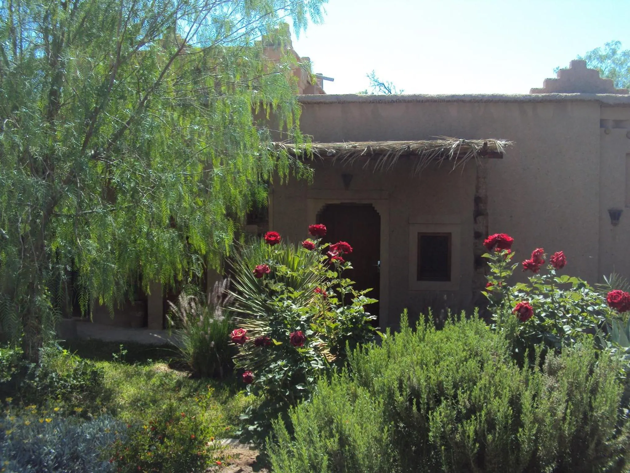 Facade/entrance in Dar Lorkam