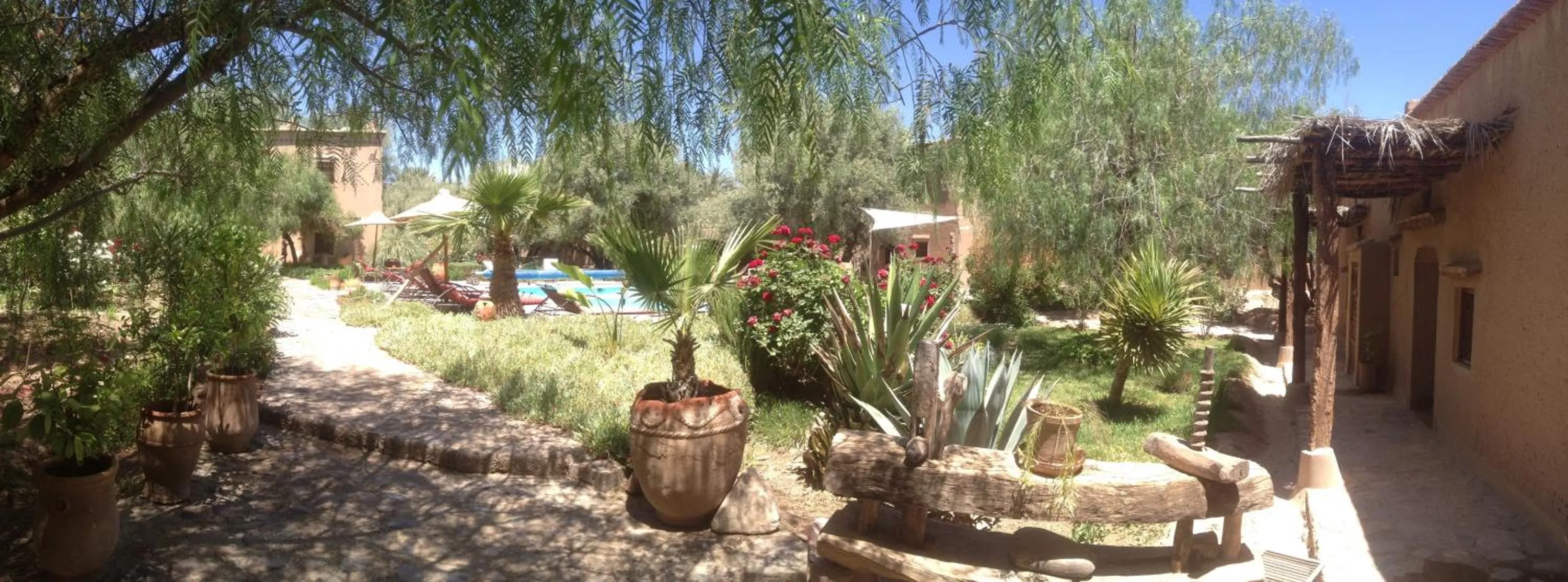 Garden view in Dar Lorkam