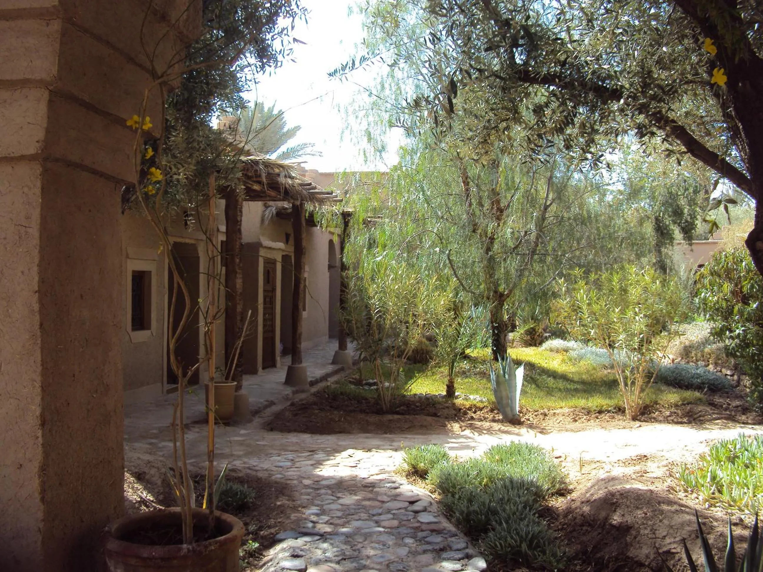 Garden in Dar Lorkam