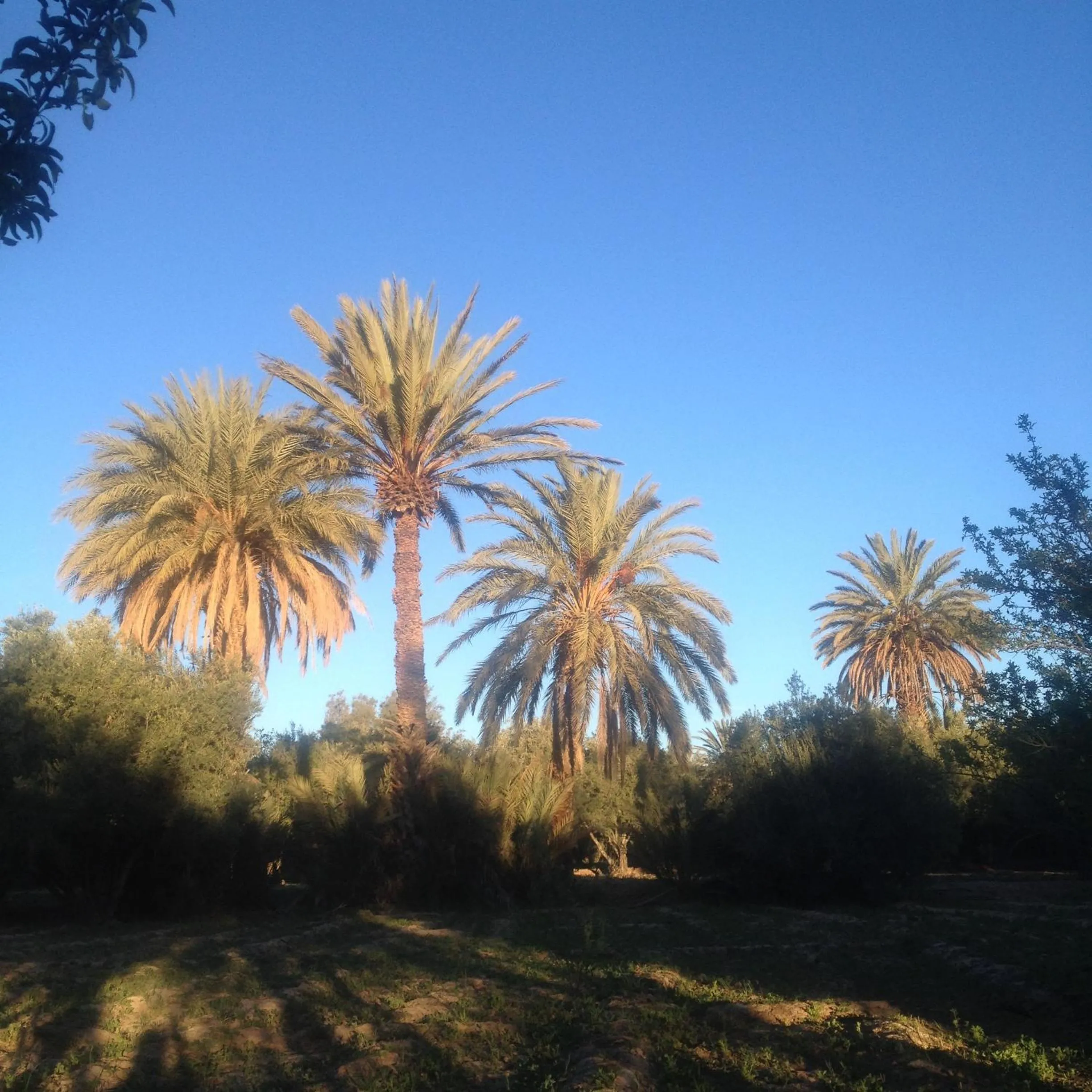 View (from property/room) in Dar Lorkam