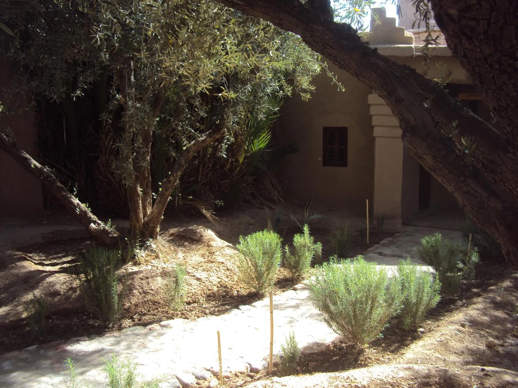 Garden in Dar Lorkam