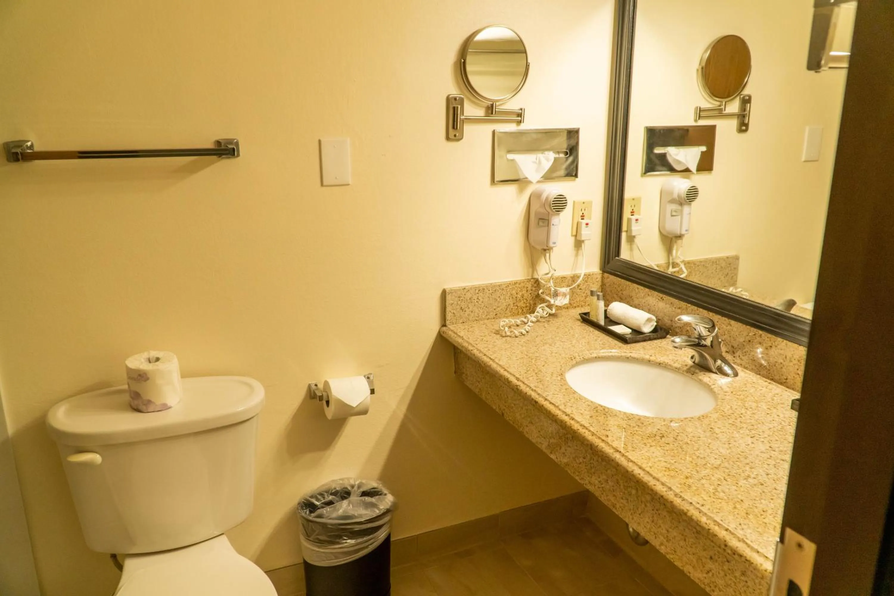 Toilet in Hotel Piccadilly