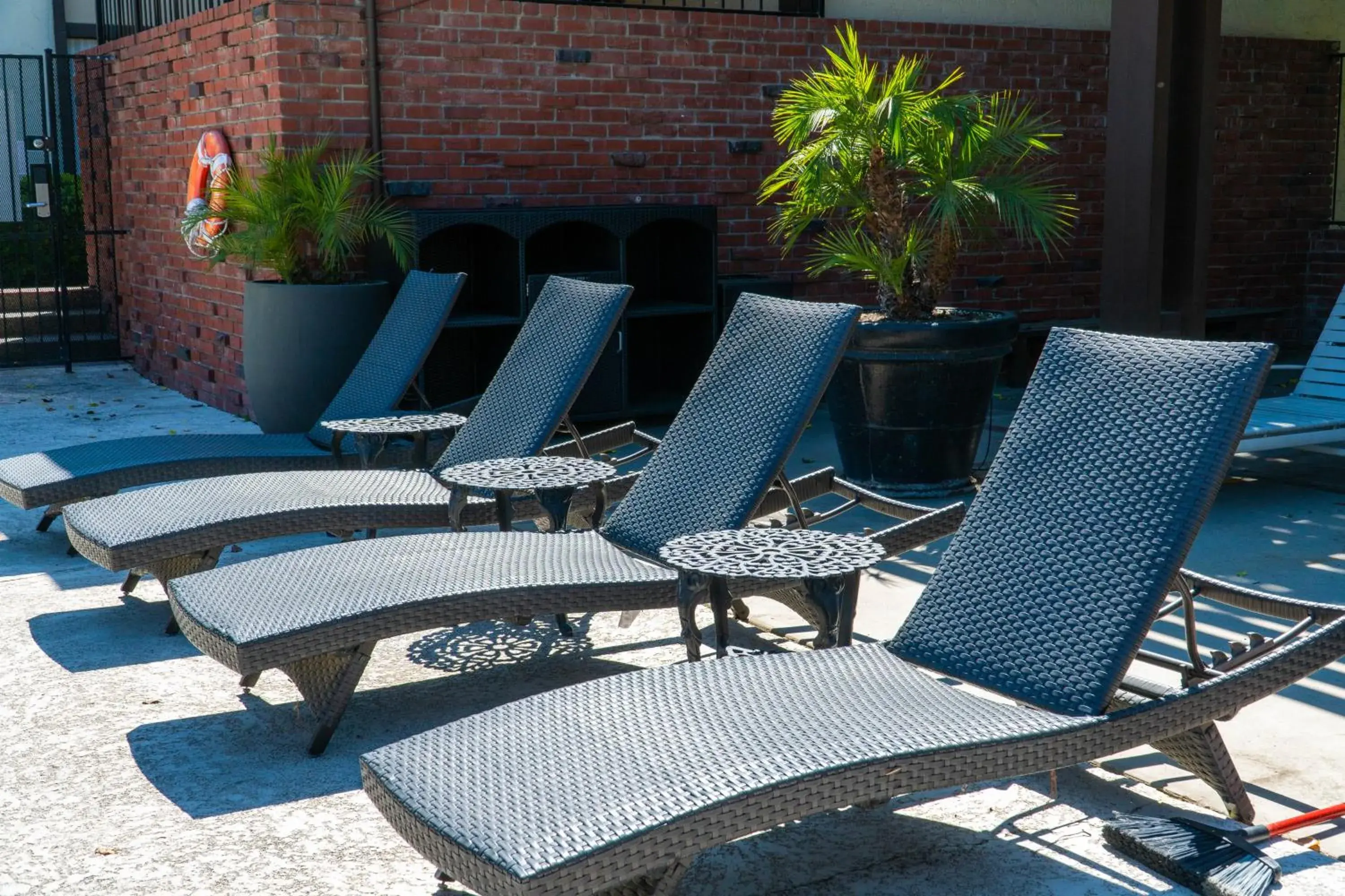 Swimming pool in Hotel Piccadilly Swimming pool in Hotel Piccadilly
