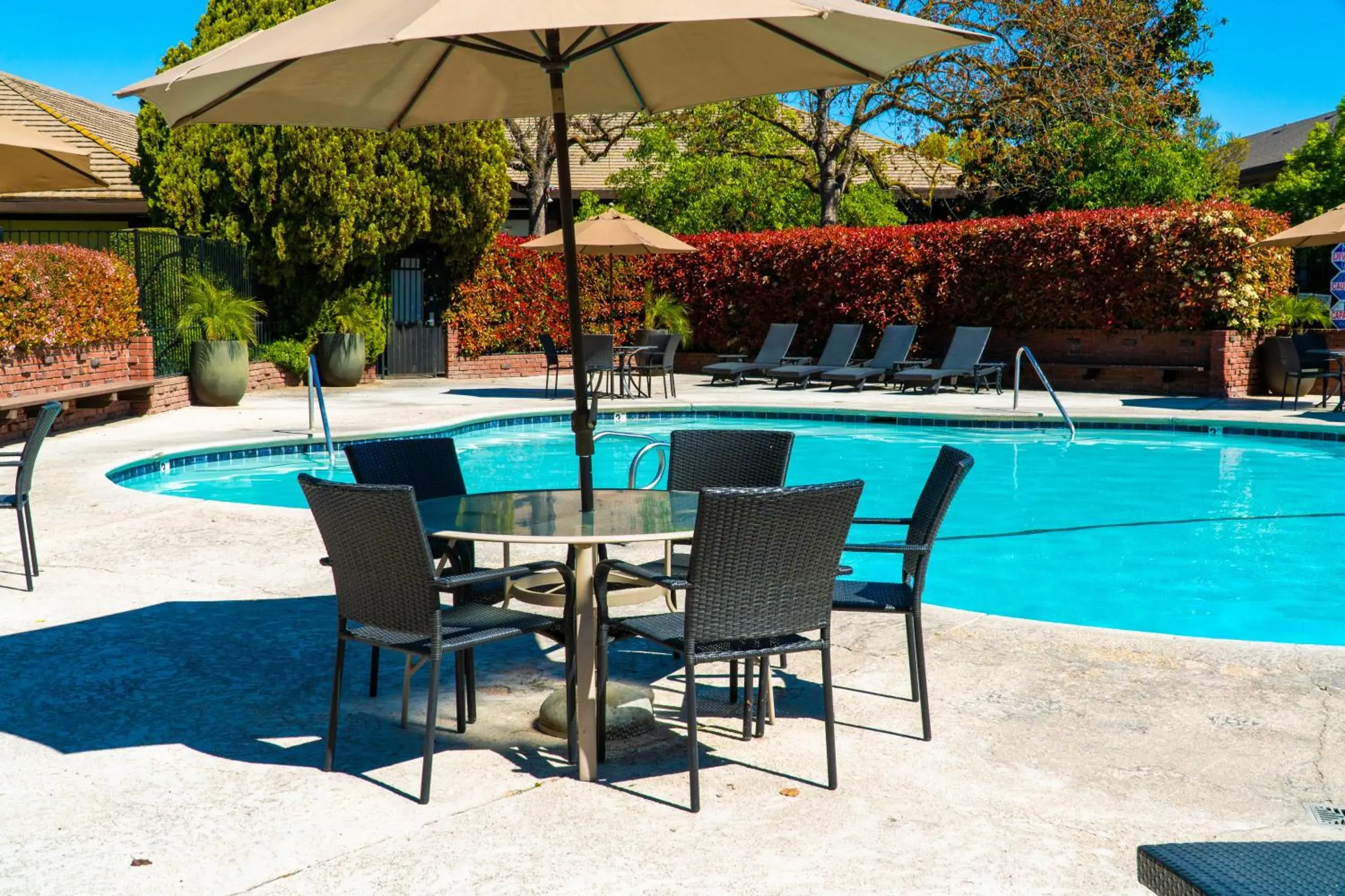 Swimming pool in Hotel Piccadilly Swimming pool in Hotel Piccadilly