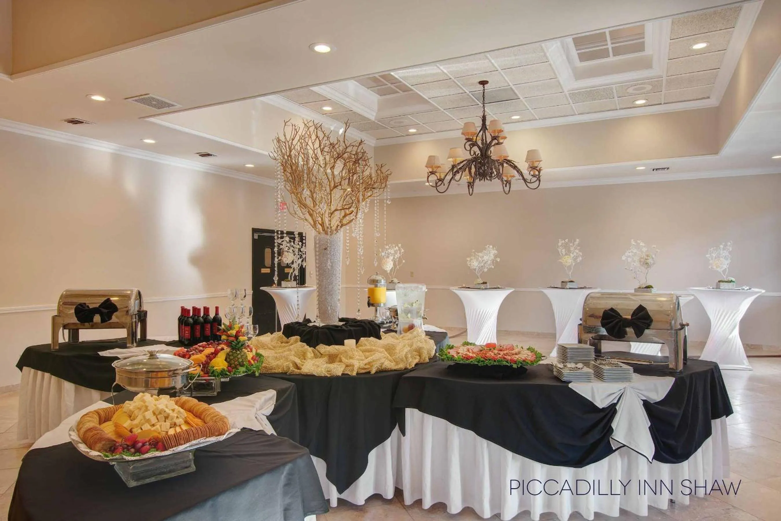 Banquet/Function facilities in Hotel Piccadilly