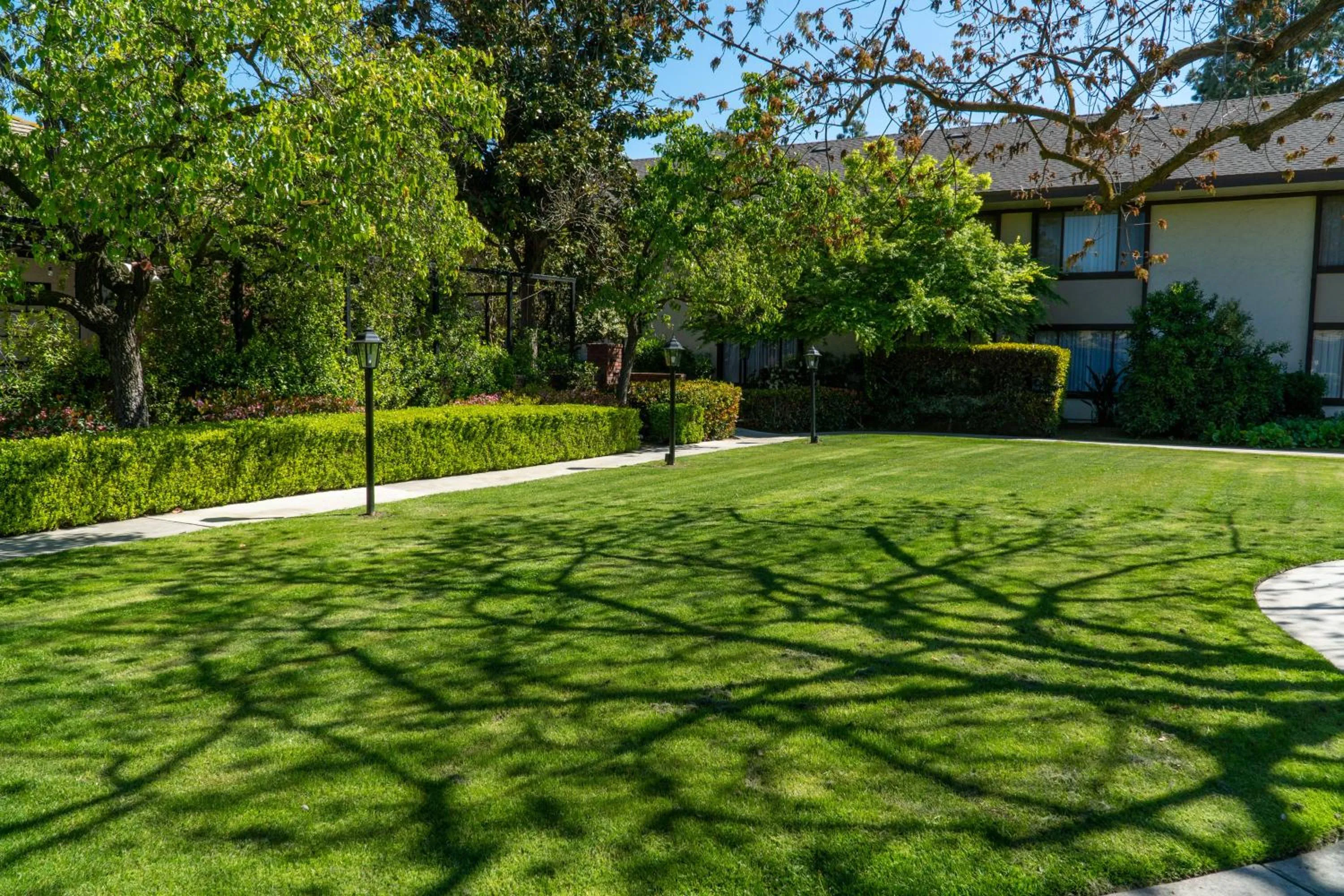 Garden in Hotel Piccadilly