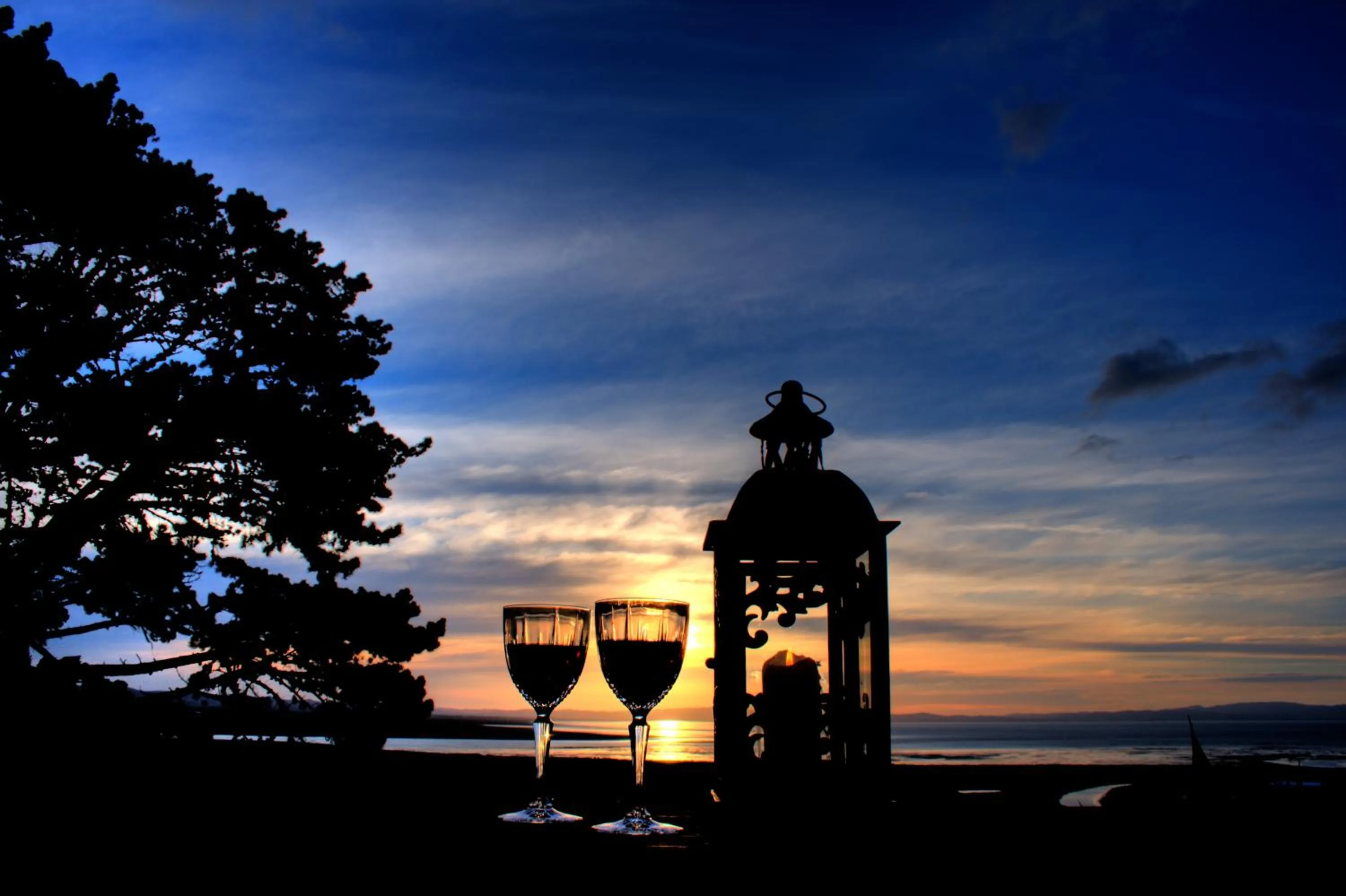 Balcony/Terrace in Chartré Manor B&B