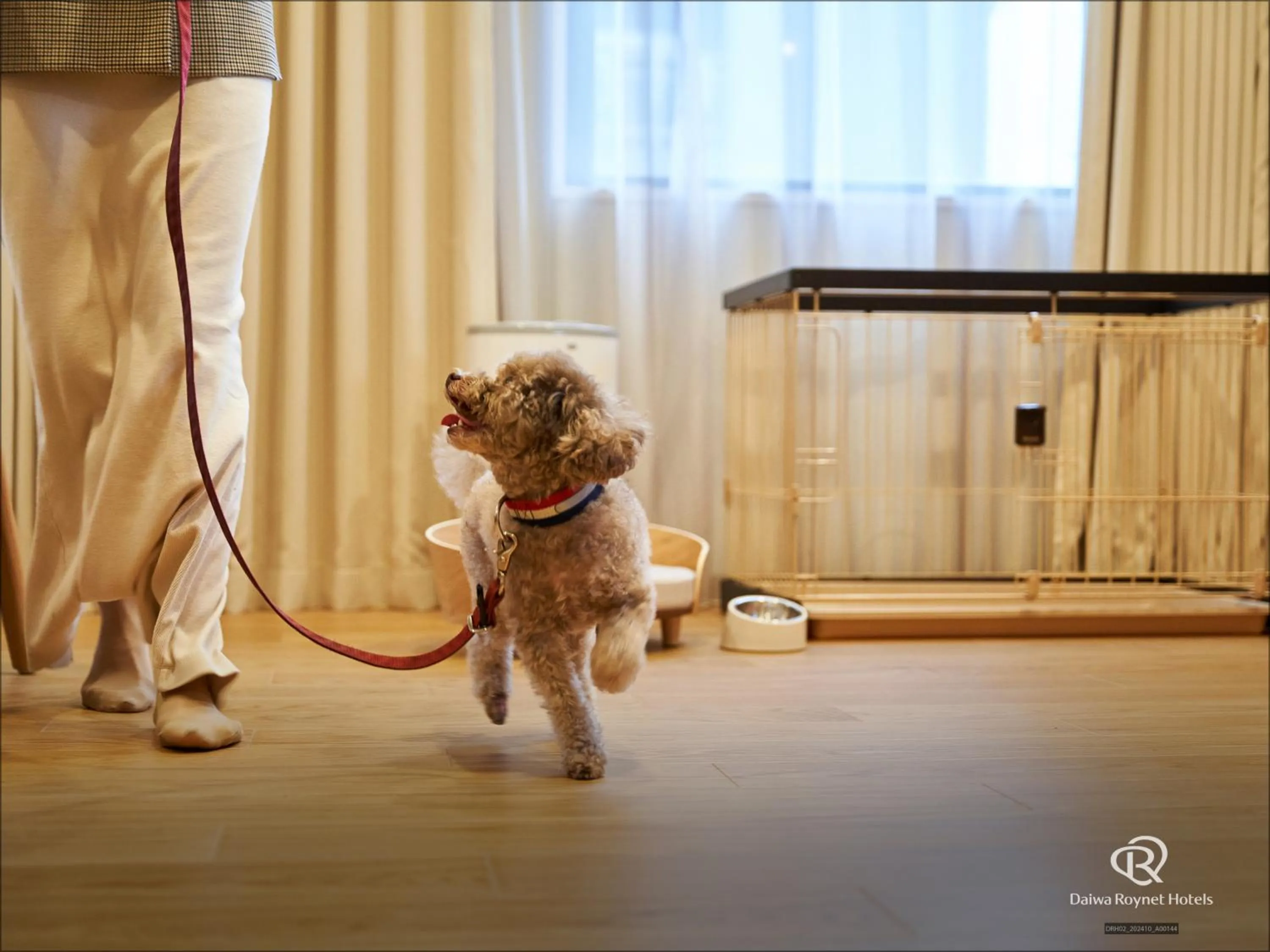 Daiwa Roynet Hotel Yokohama-Koen