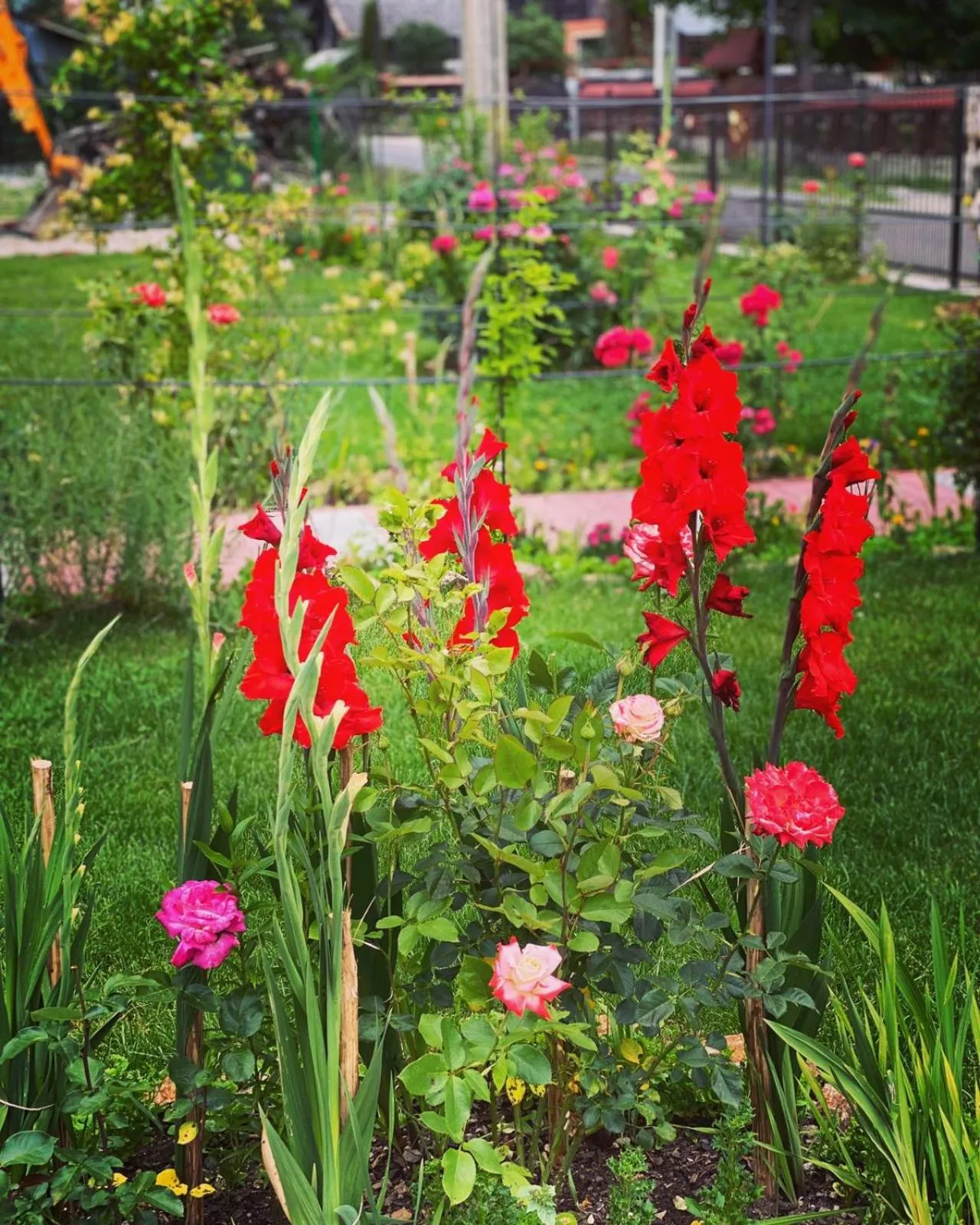 Garden in Maison Platanus