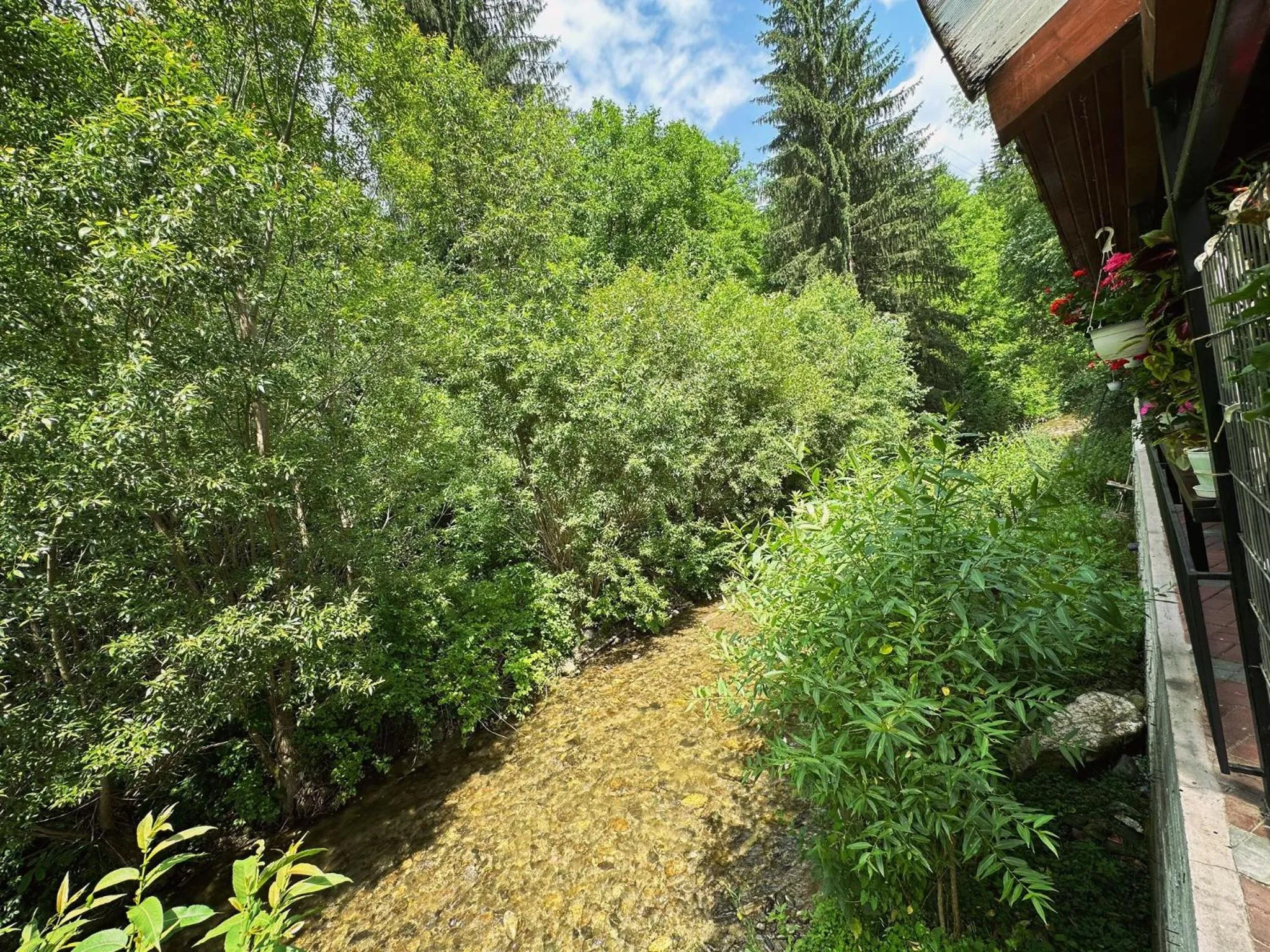 Natural landscape in Maison Platanus